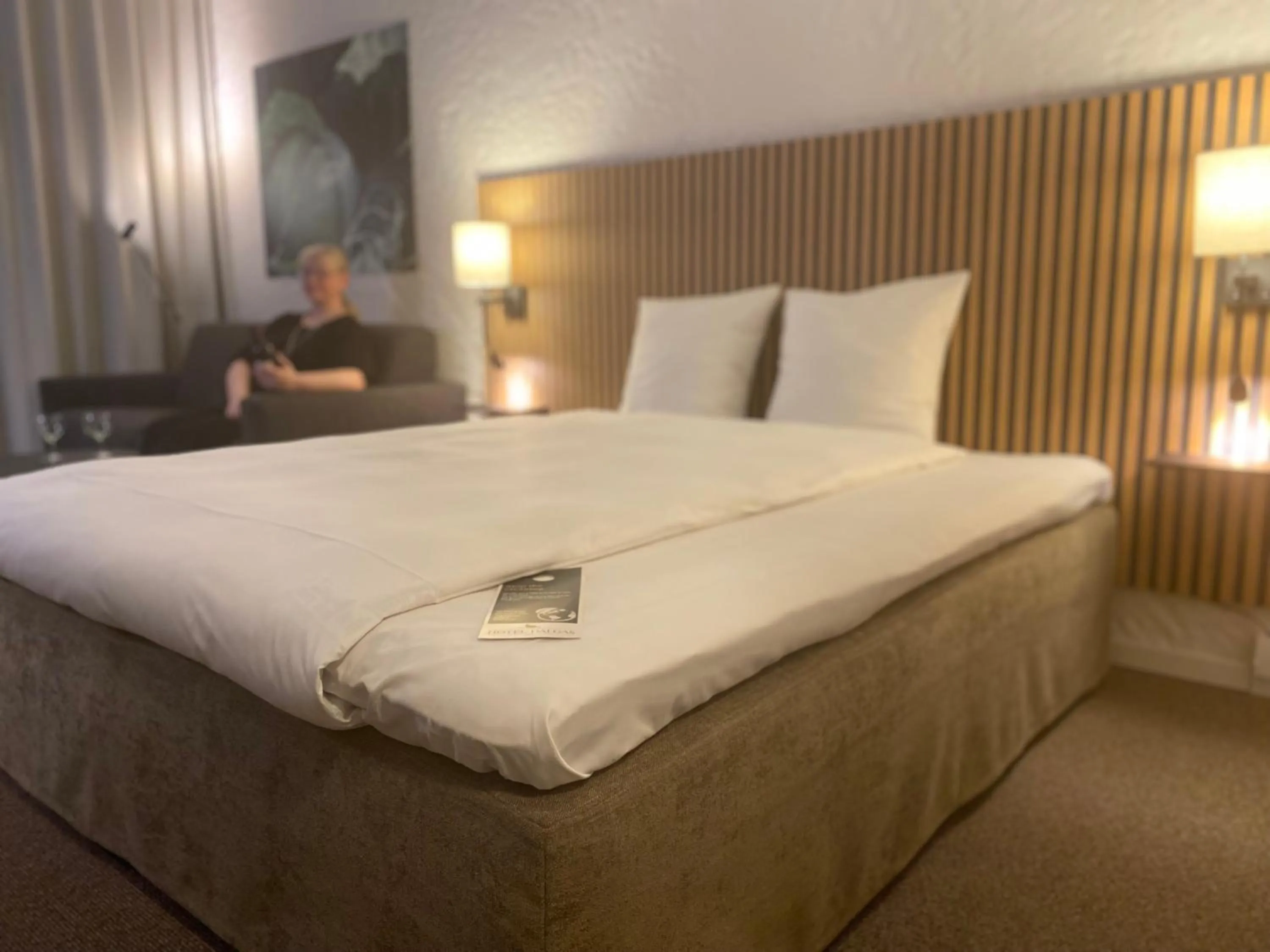 Superior Double Room - single occupancy in Hotel Dalgas, BW Signature Collection