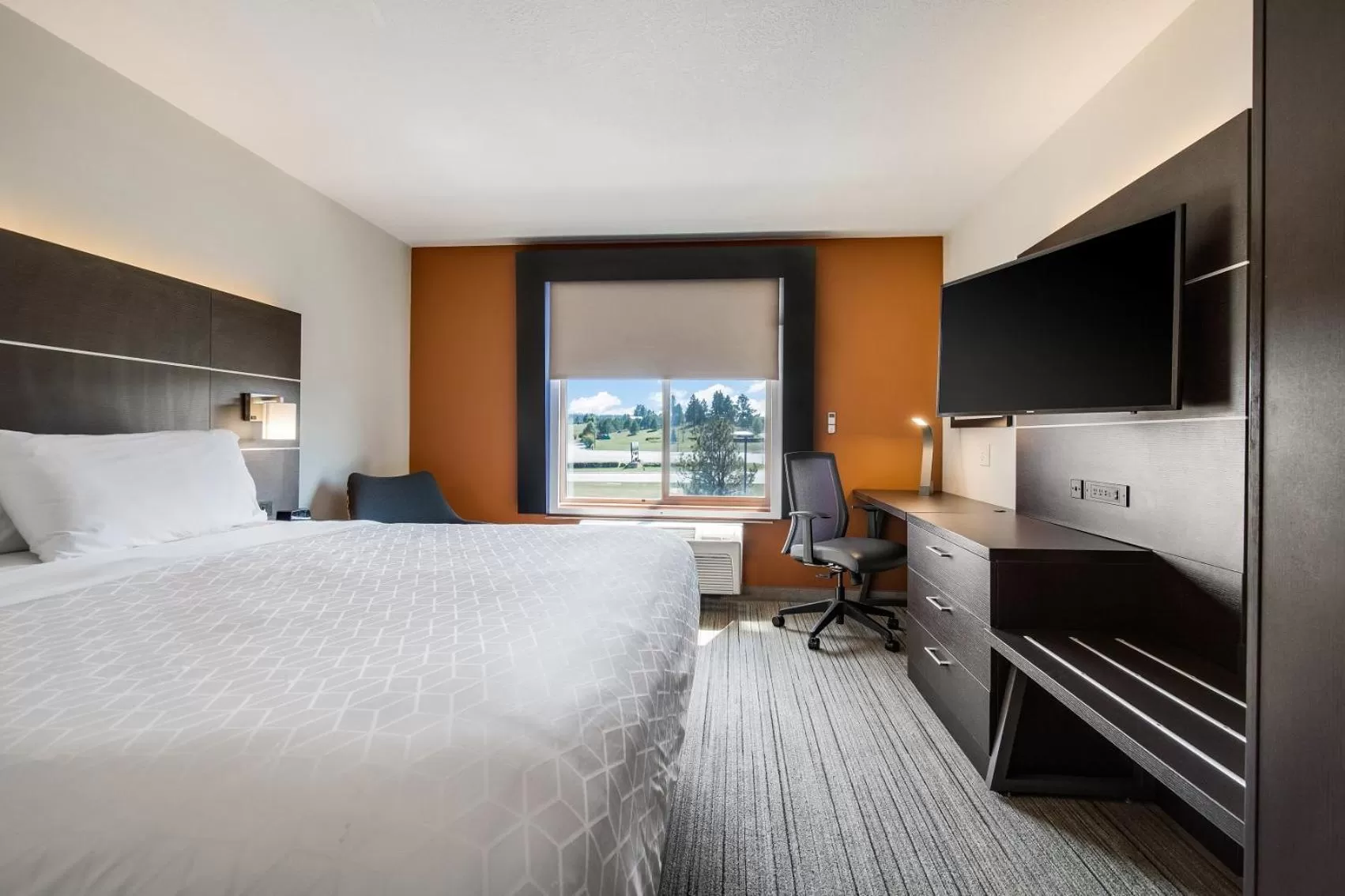 Standard King Room in Holiday Inn Express & Suites Custer-Mt Rushmore