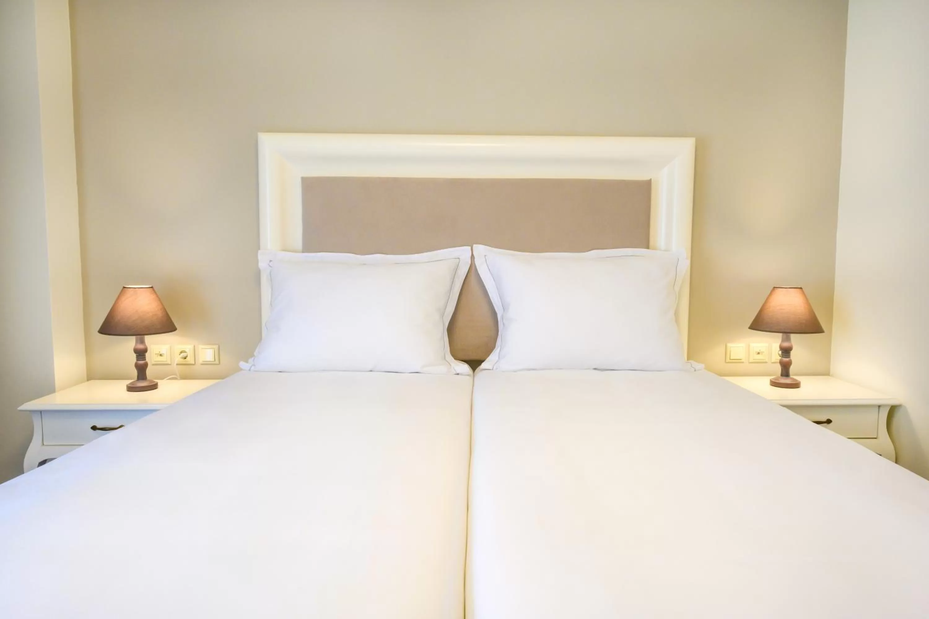 Deluxe Double Room - single occupancy in Emerald Suites