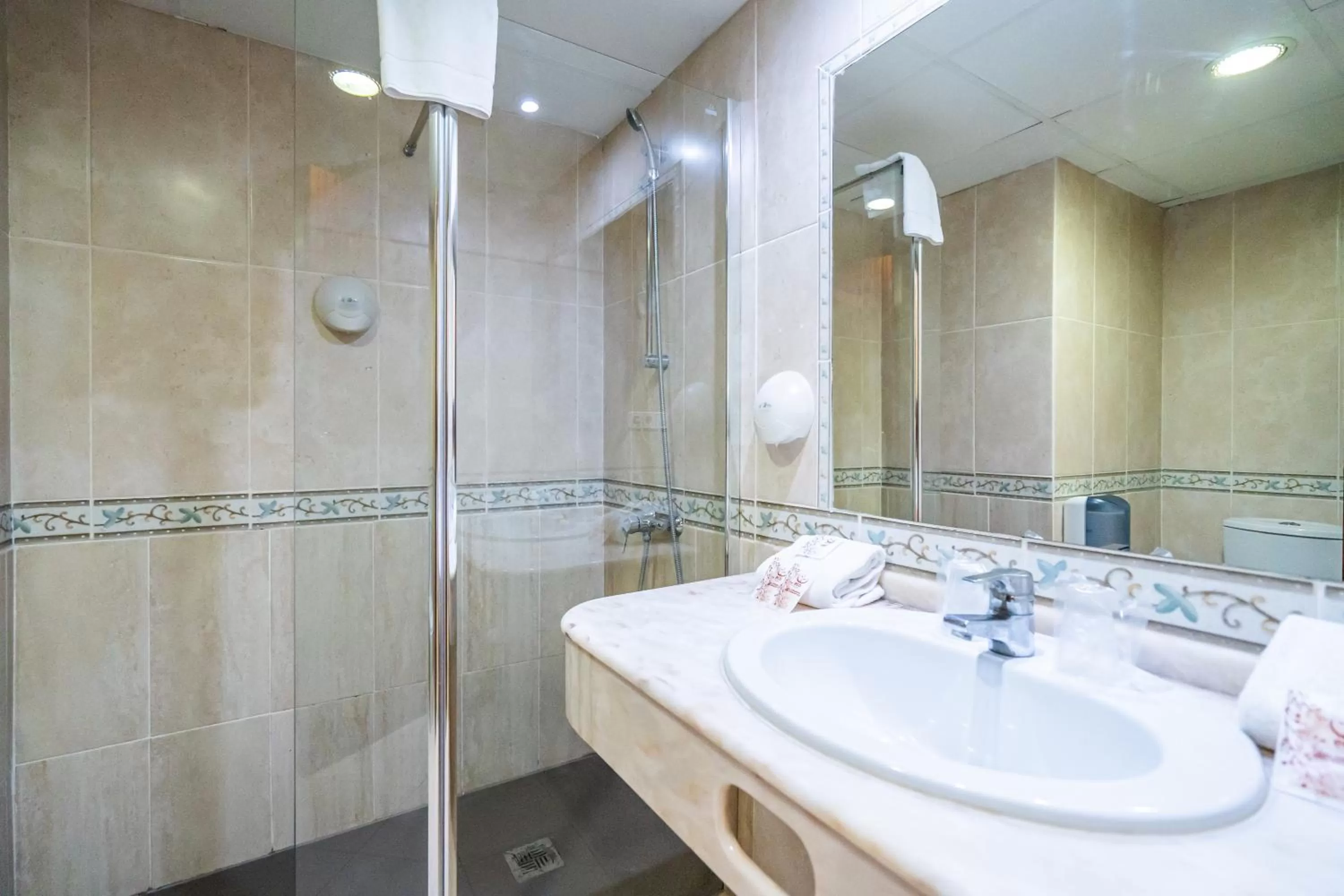 Single Room in Hotel Beleret