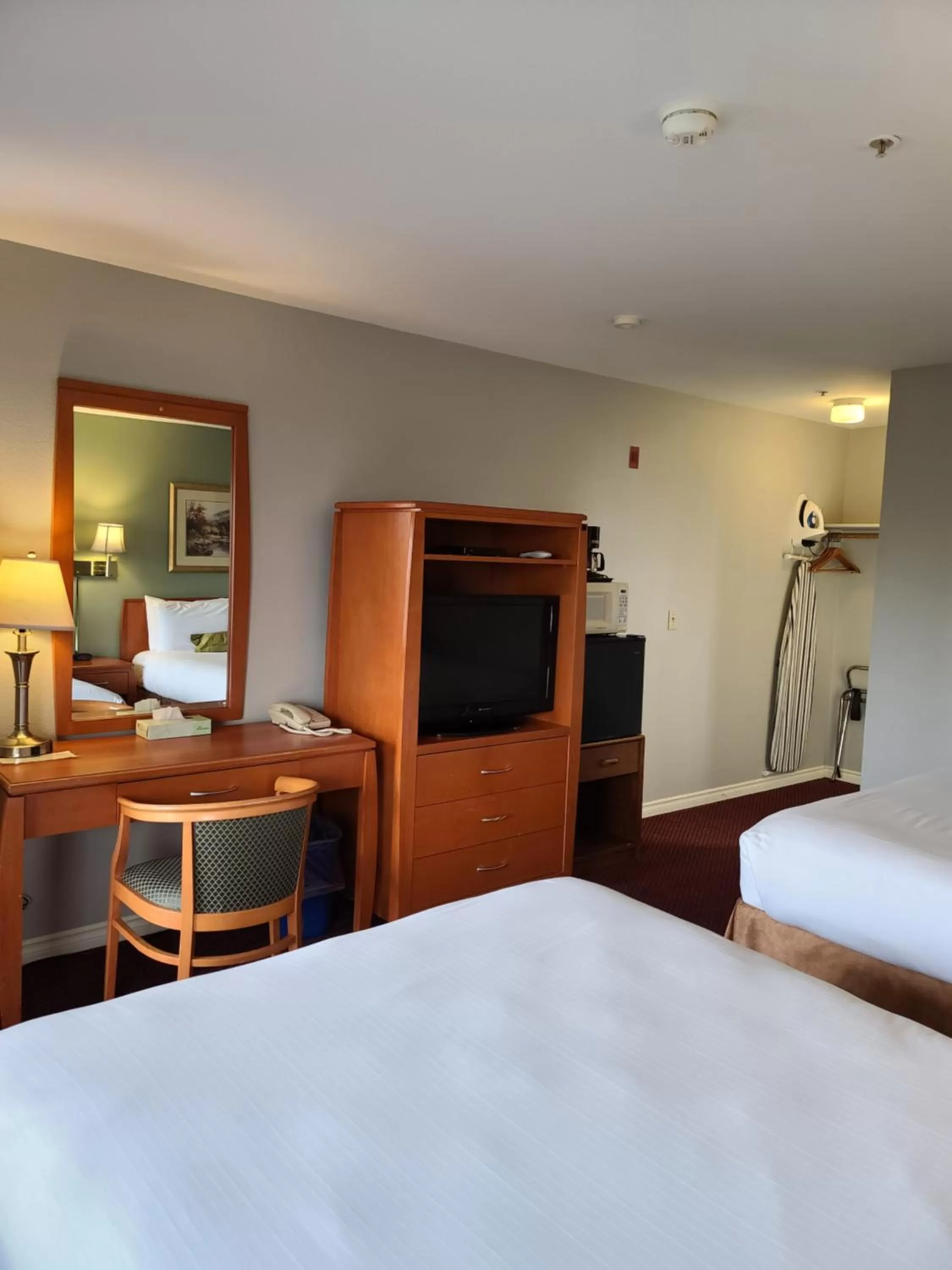 Two Queen Beds room in Tulip Inn Mount Vernon