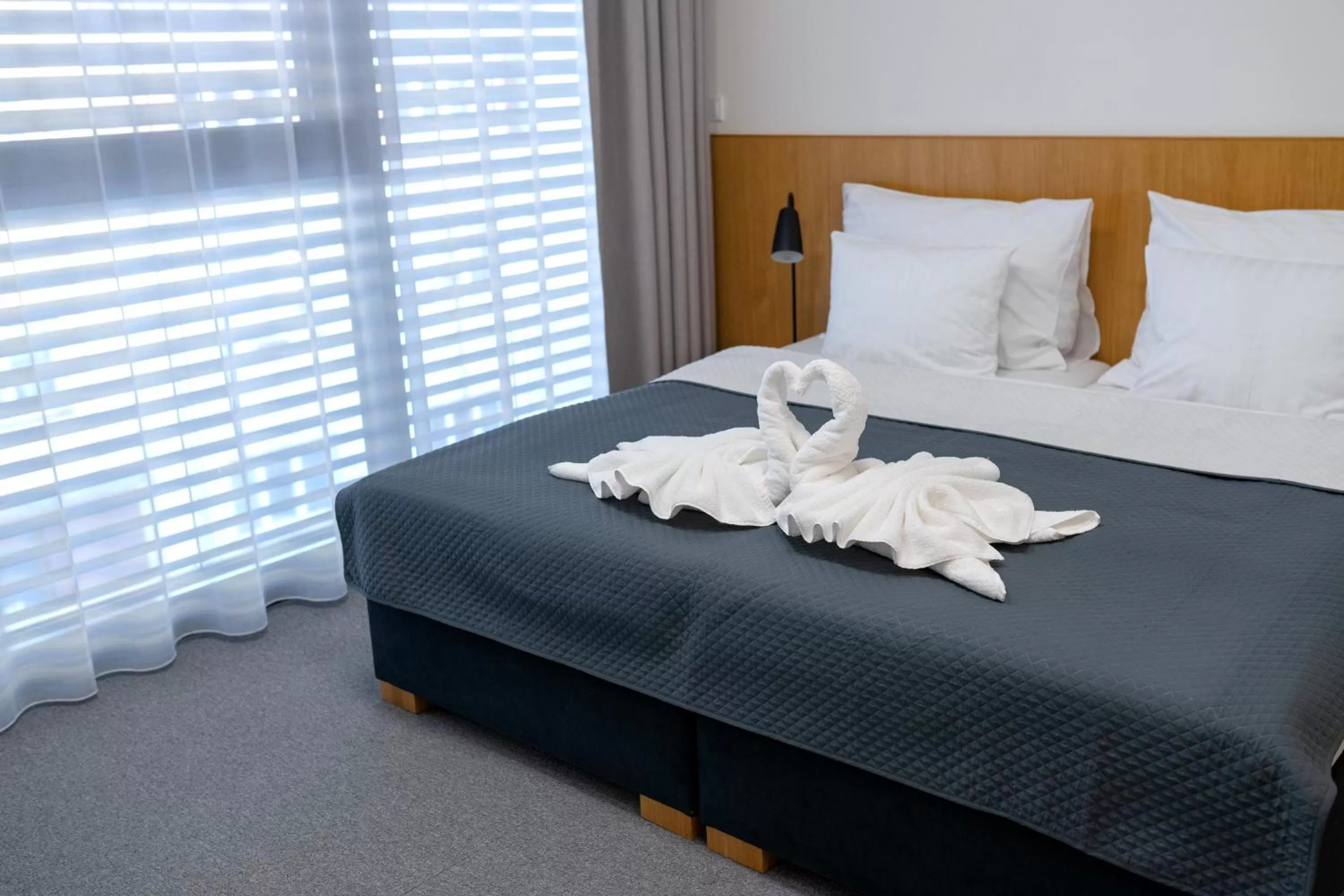 Deluxe Double Room in Hotel Smetanova