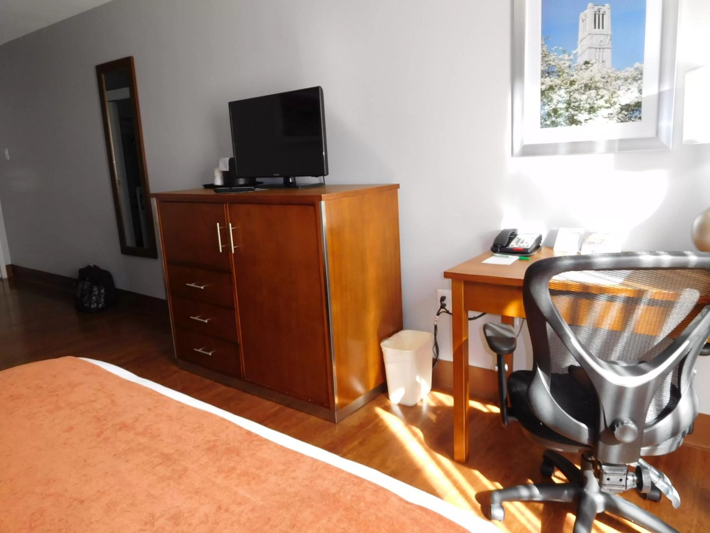 King Room - Disability Access in Wyndham Garden Greensboro