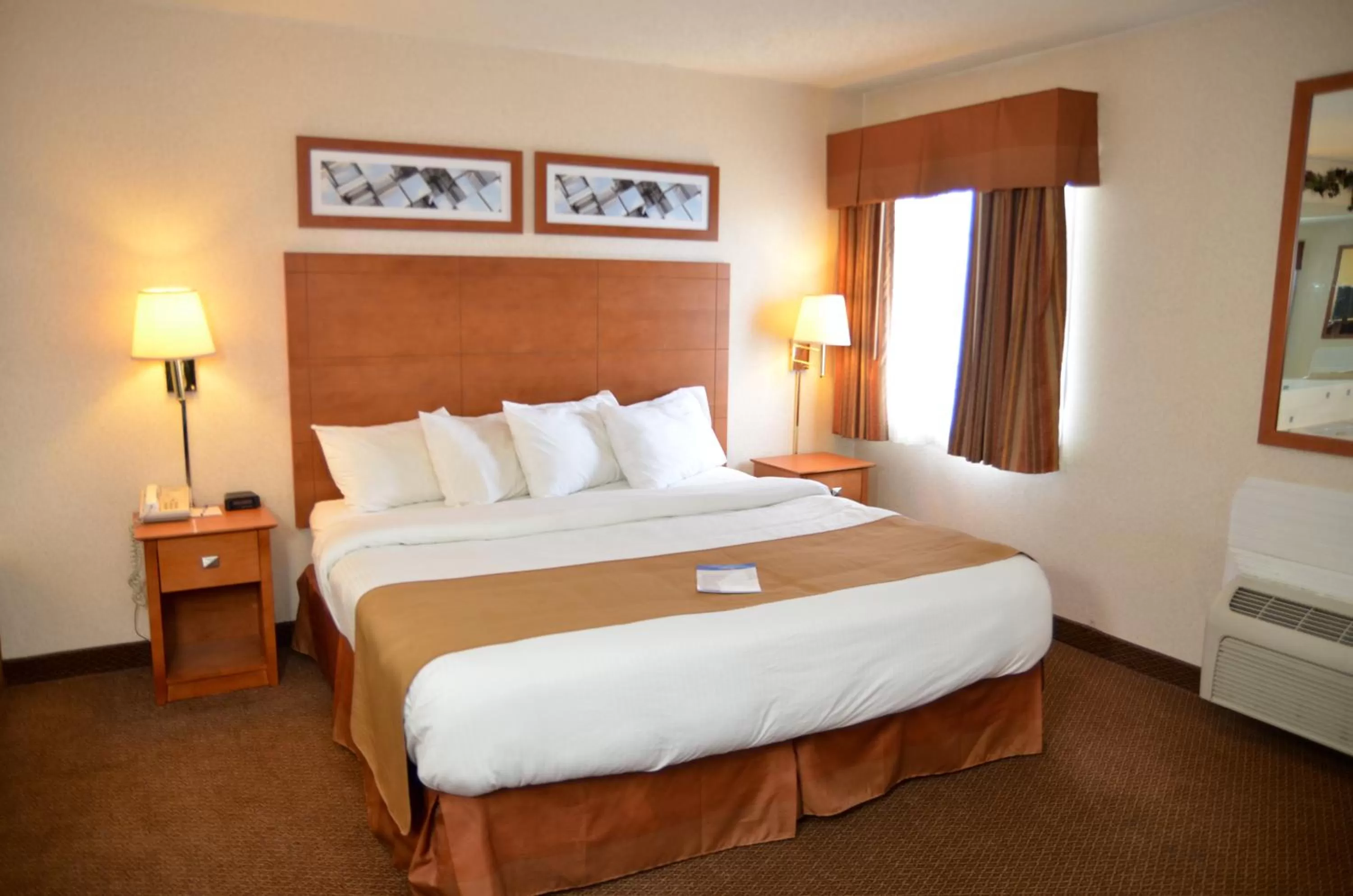 Deluxe King Suite in Baymont by Wyndham Port Huron