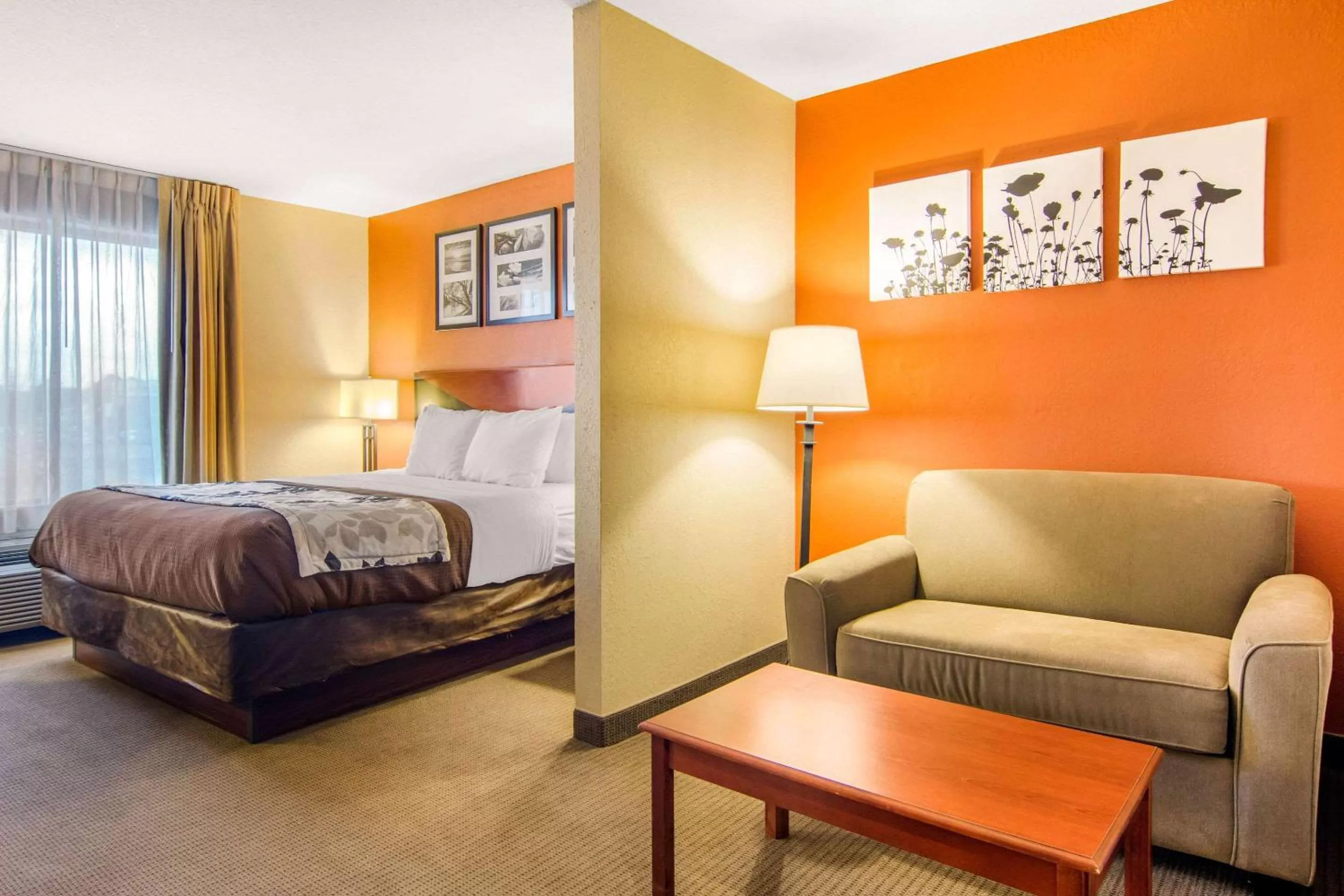 King Suite - Non-Smoking in Sleep Inn & Suites Athens South