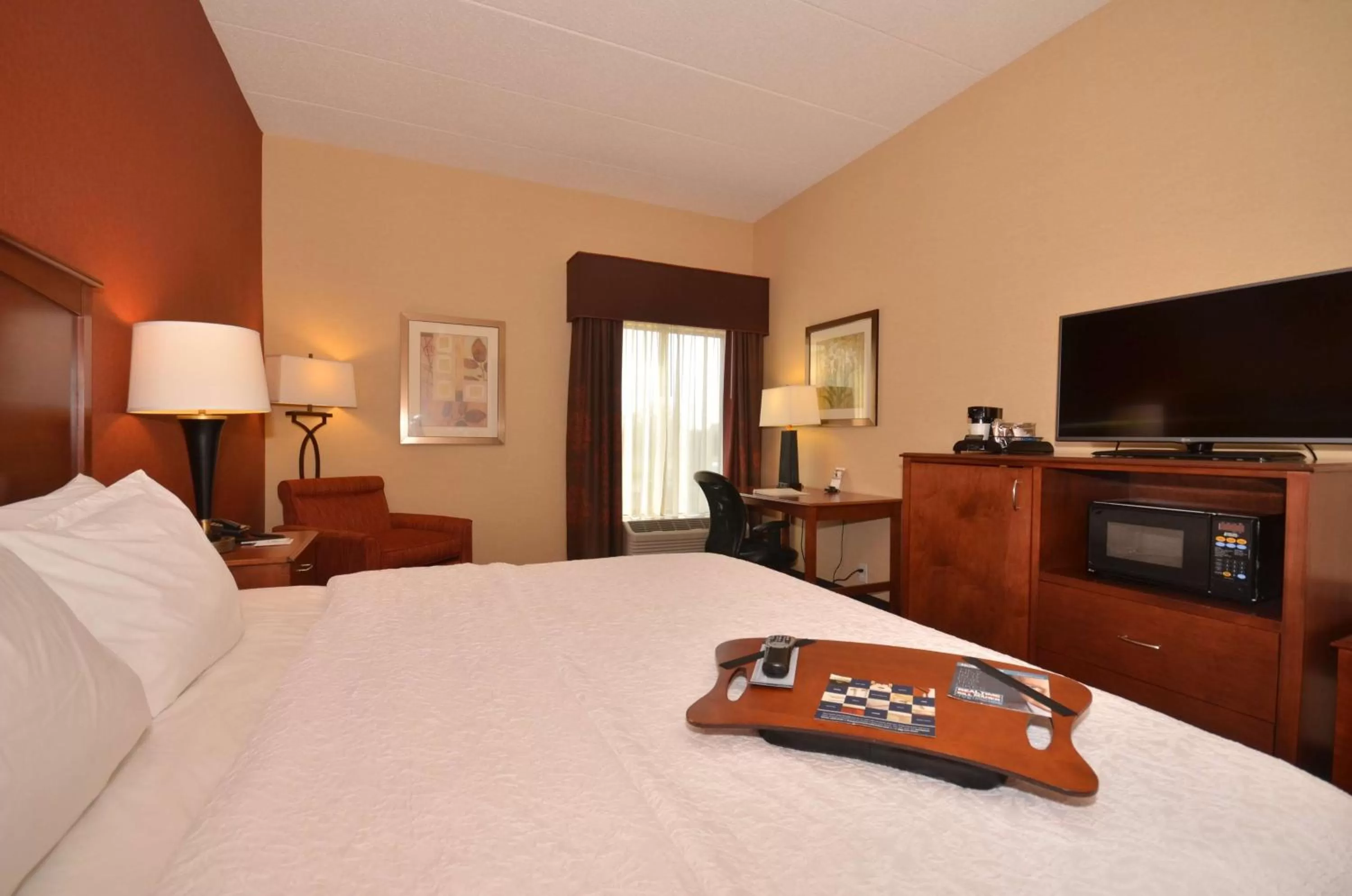 King Room - Disability Access/Non-Smoking with Tub in Hampton Inn Troy