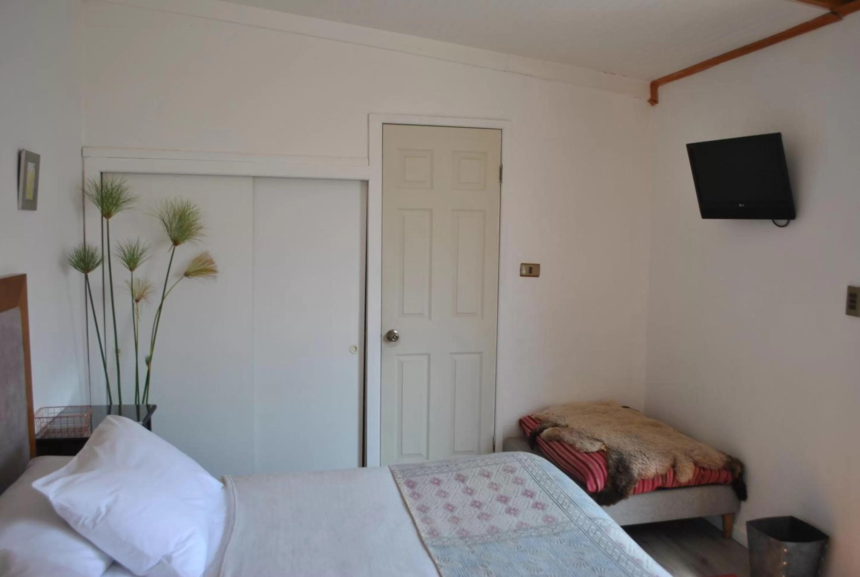 Suite - single occupancy in Hotel Boutique Molzano