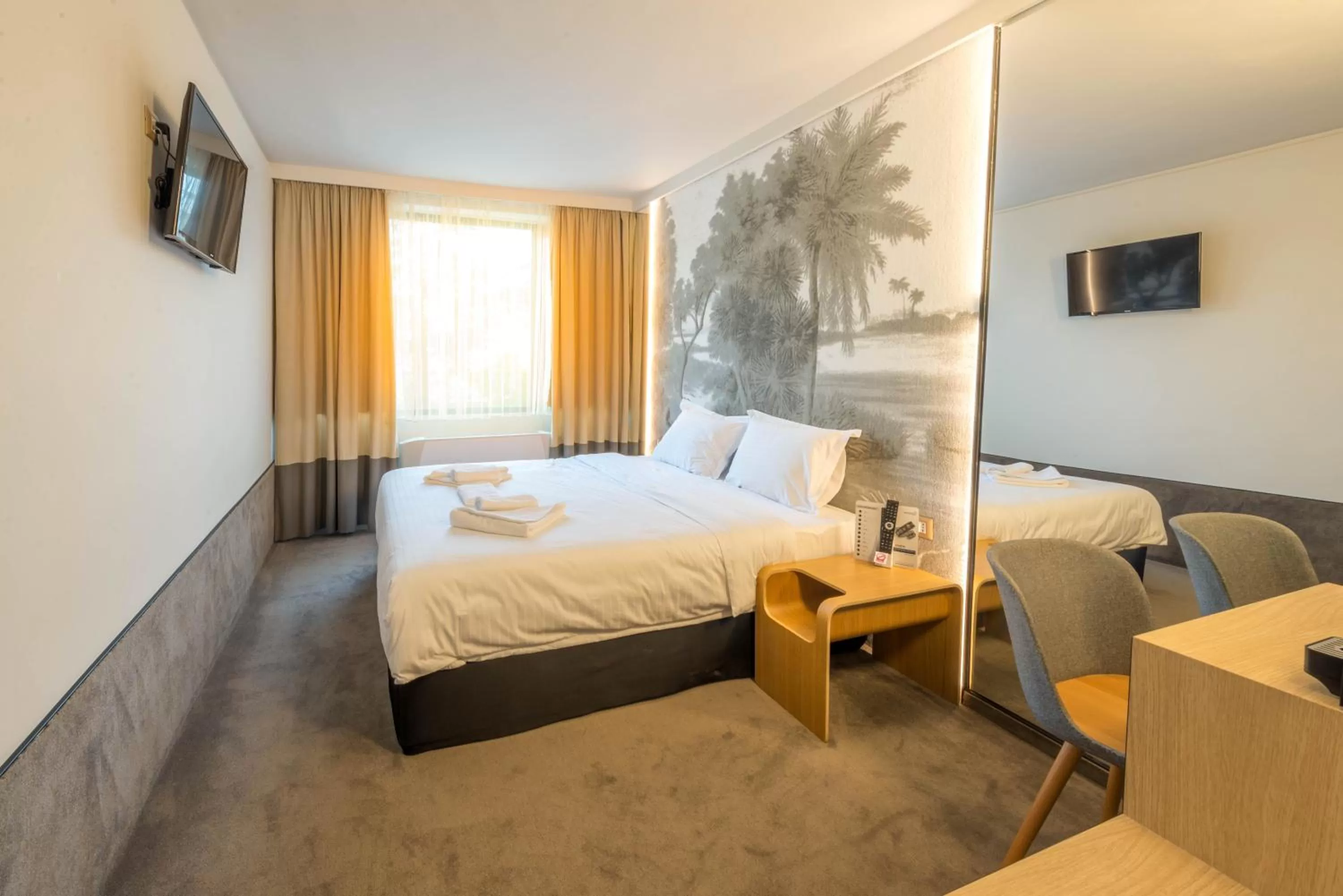 Double Room - single occupancy in RAYA Garden - Park Hotel & Winery