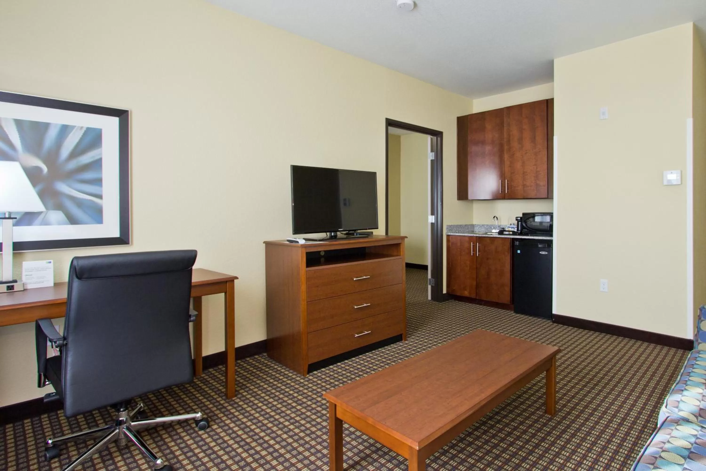 One-Bedroom Suite in Holiday Inn Express and Suites Denver East Peoria Street by IHG
