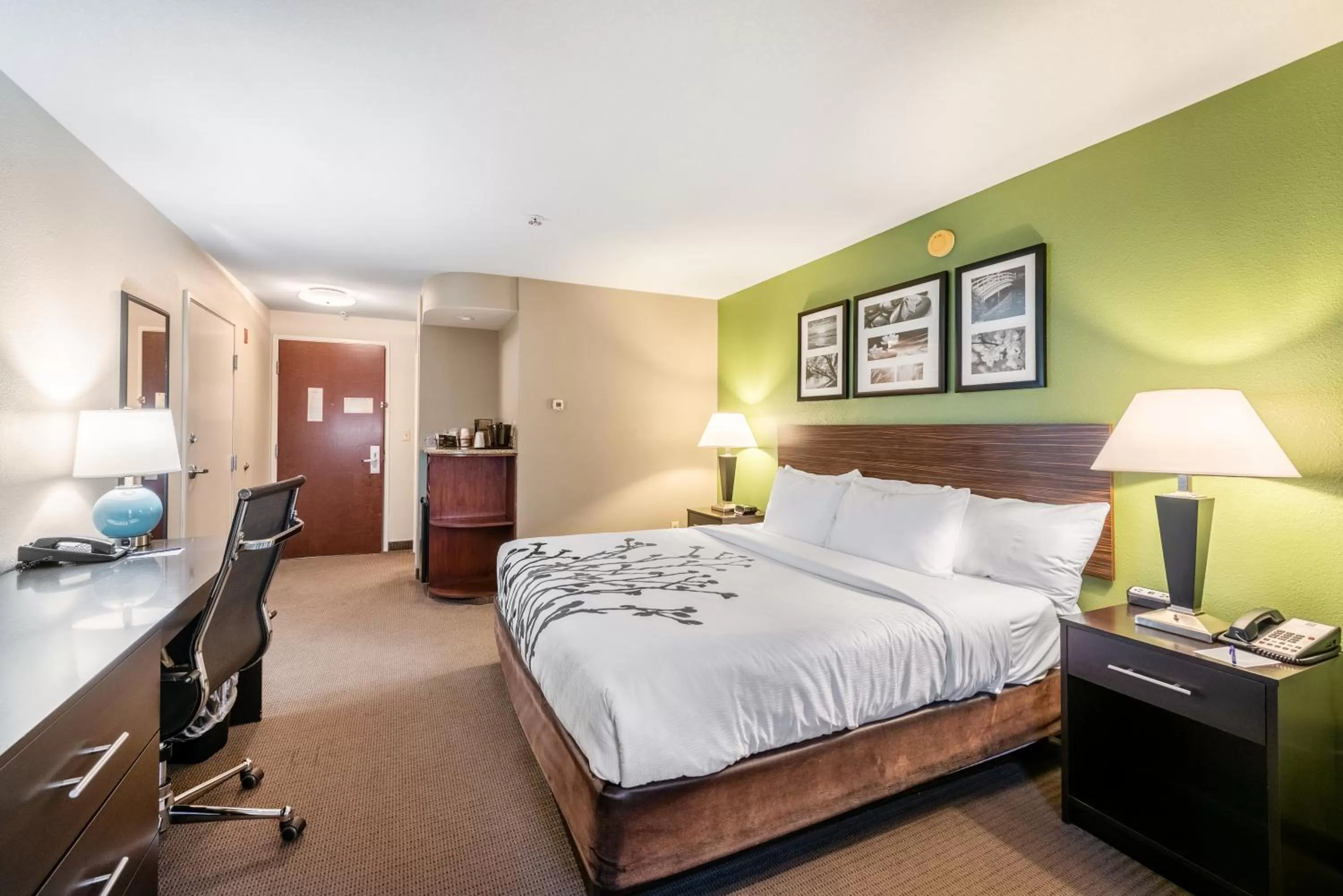 King Room - Accessible/Non-Smoking in Sleep Inn & Suites Ruston Near University