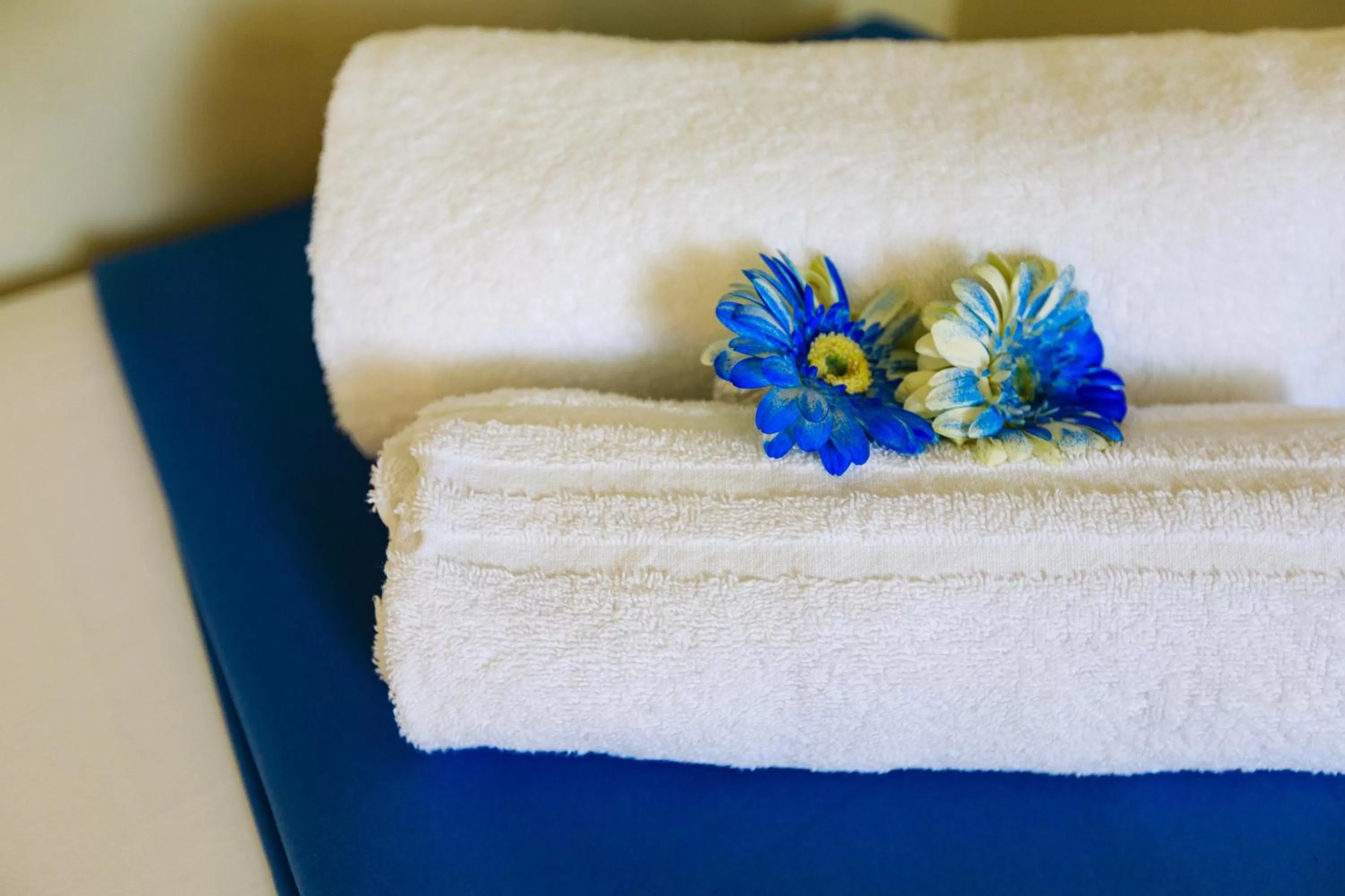 Double or Twin Room - single occupancy in Hotel Oleggio Malpensa