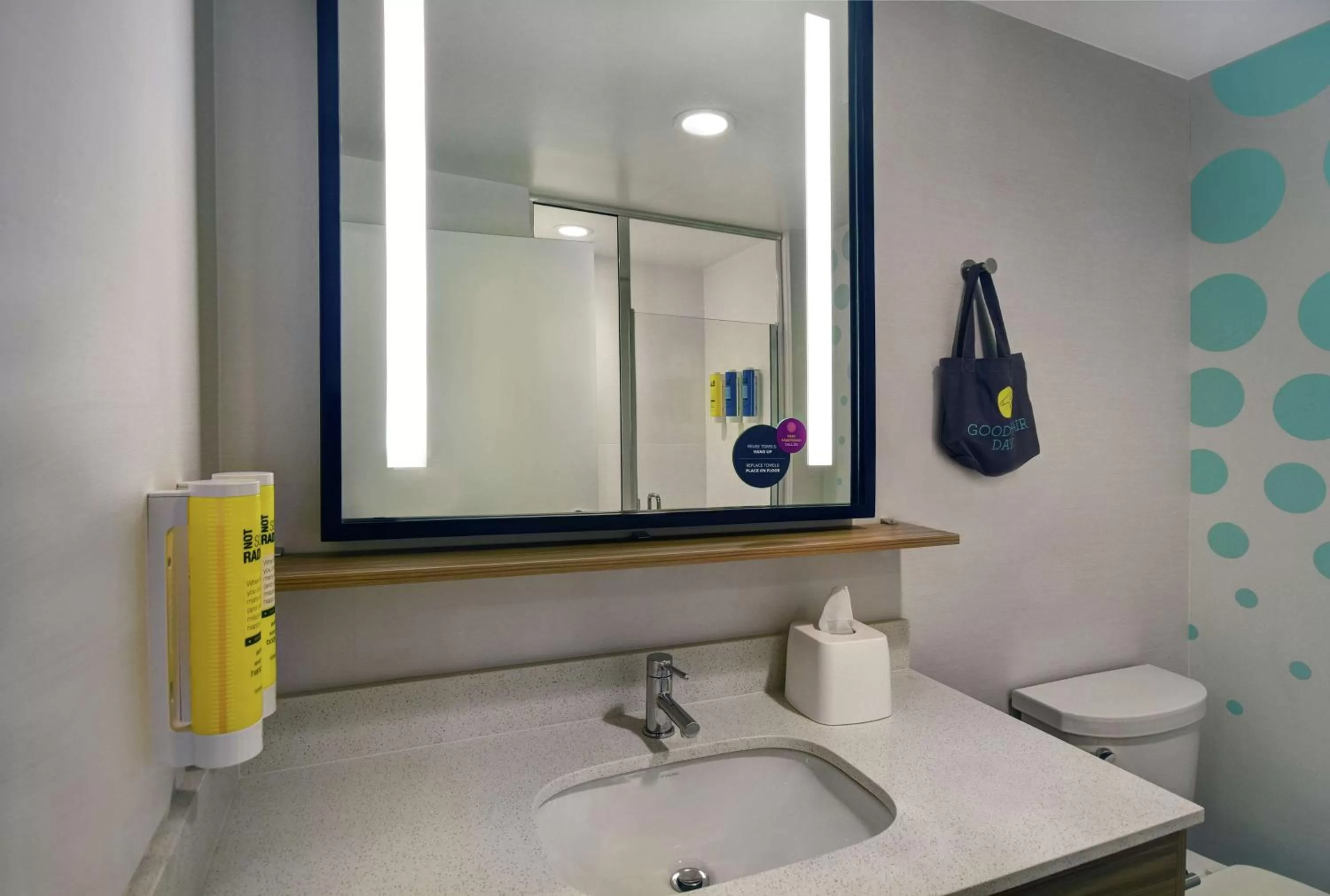 King Room - Hearing Access in Tru By Hilton Burlington