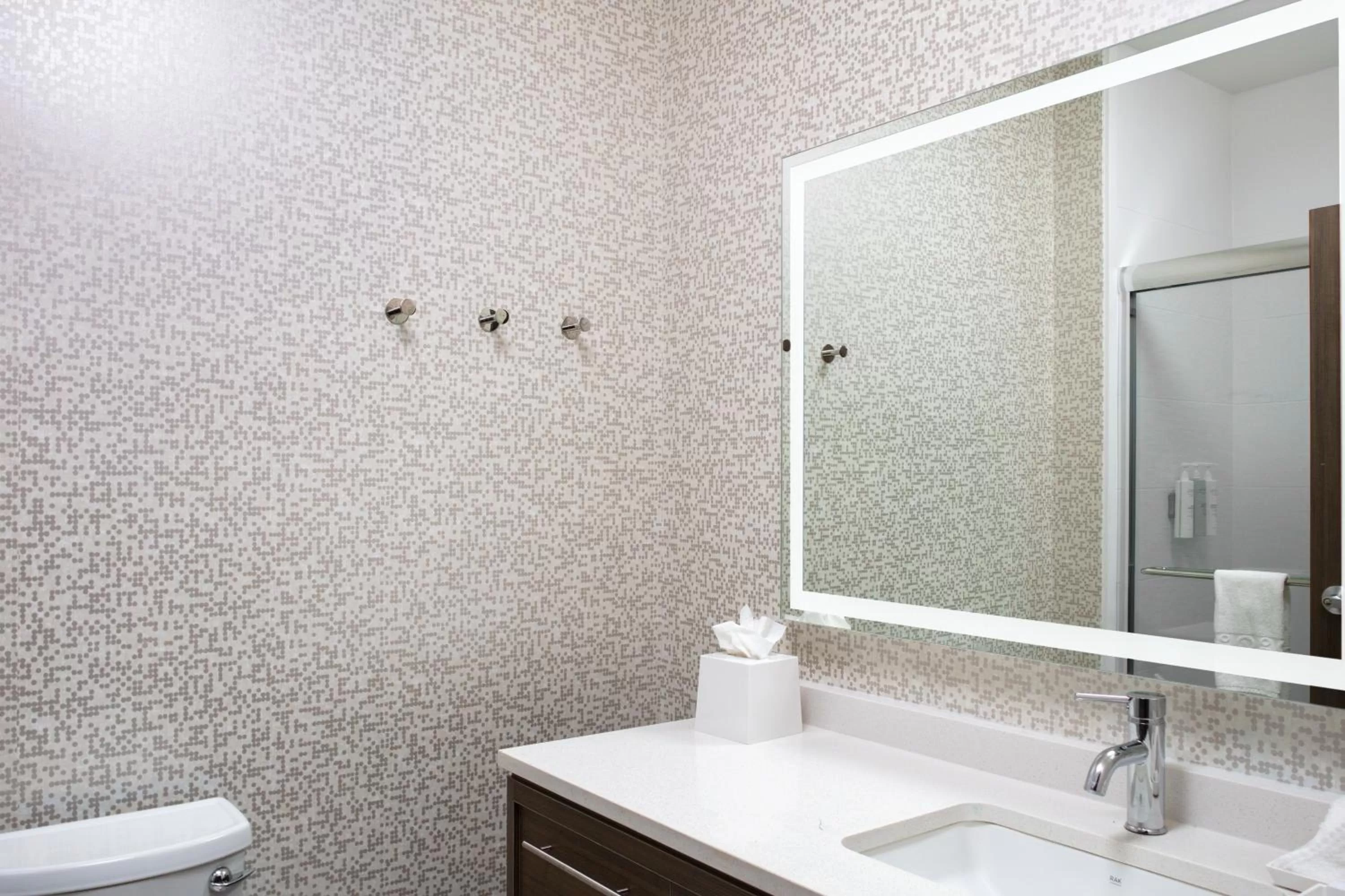 One-Bedroom King Suite - Non-Smoking in Home2 Suites By Hilton Baton Rouge Citiplace