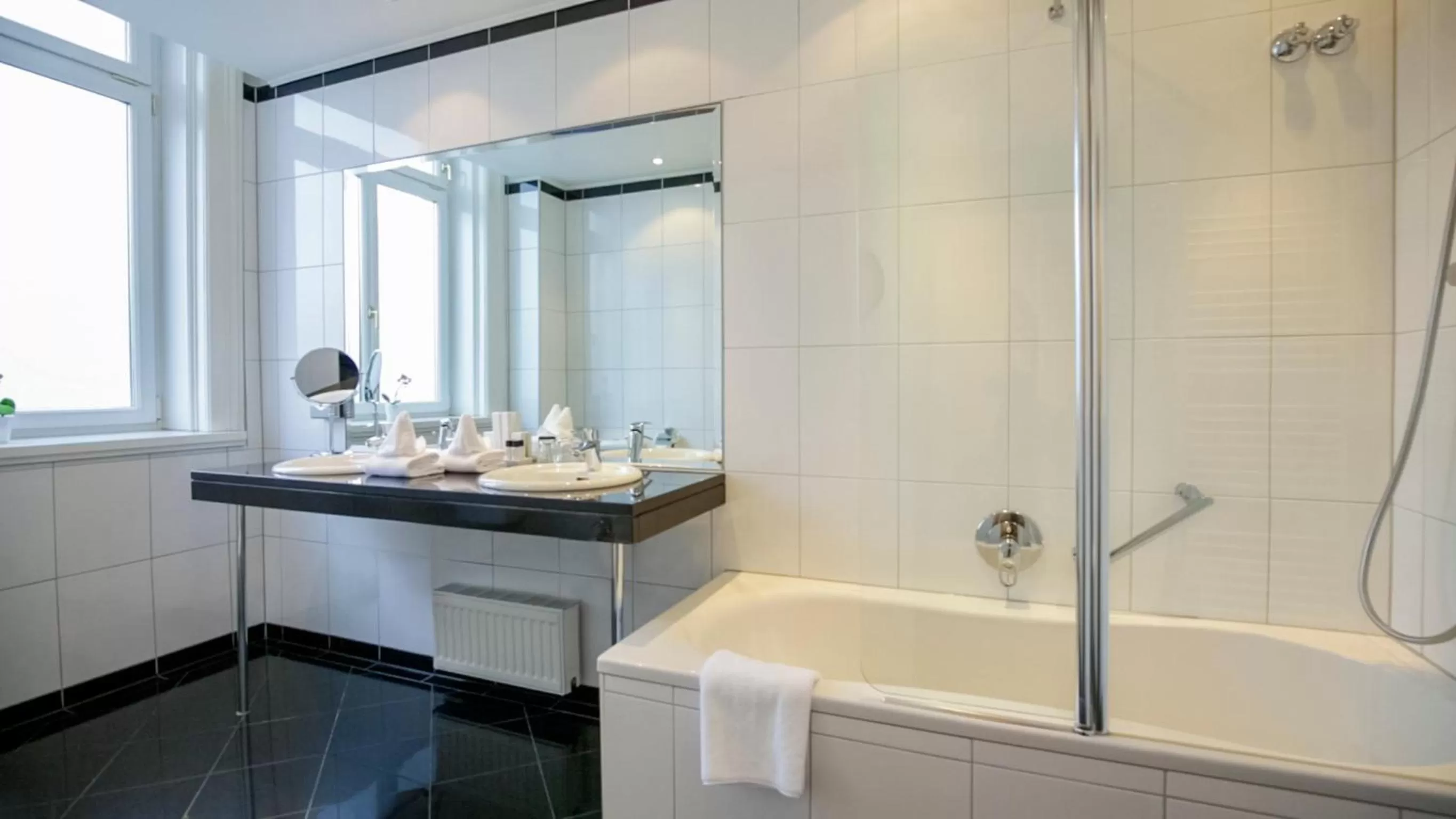 Business Double Room in Hotel Ambassador