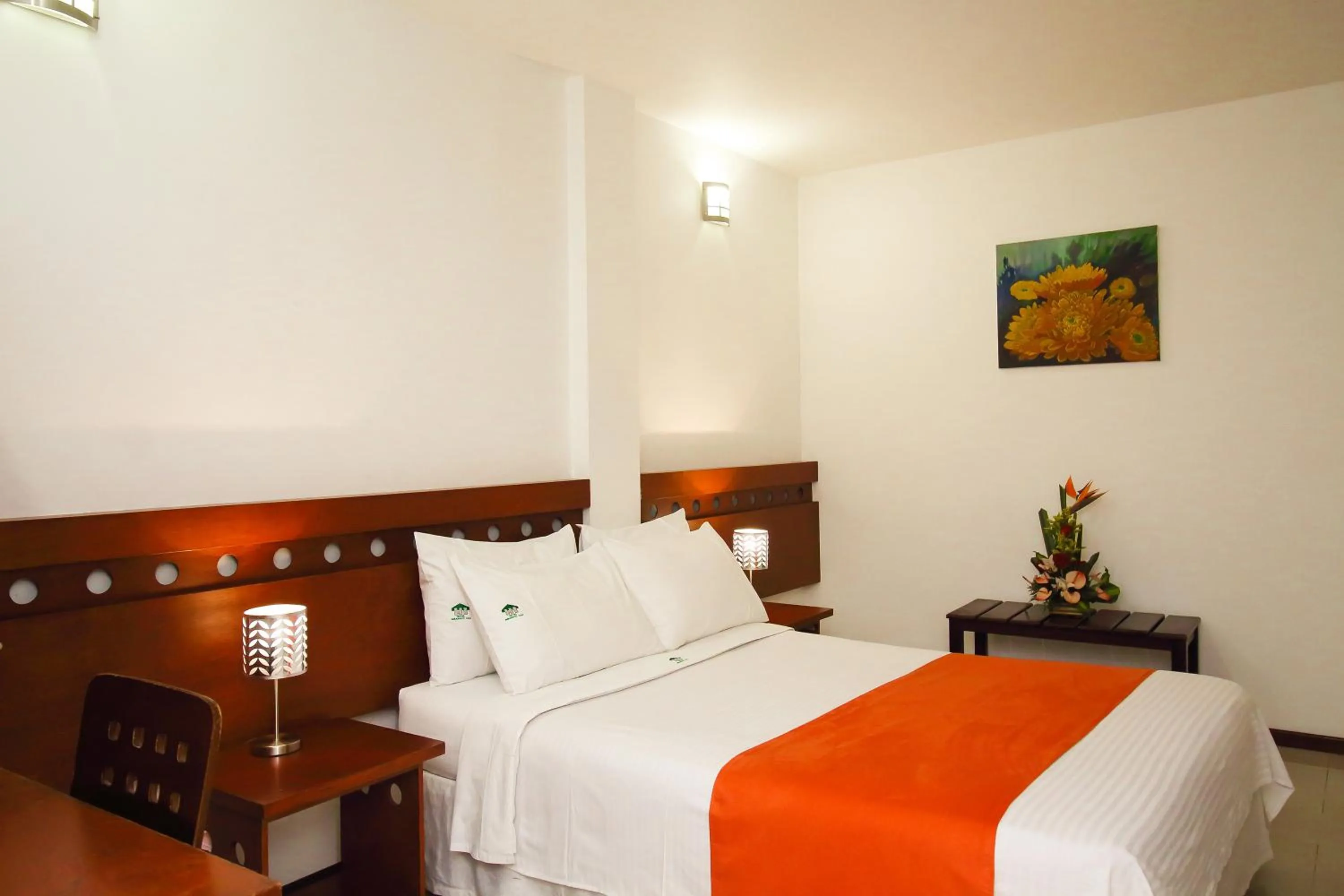 Double Room - single occupancy in Hotel Imbanaco