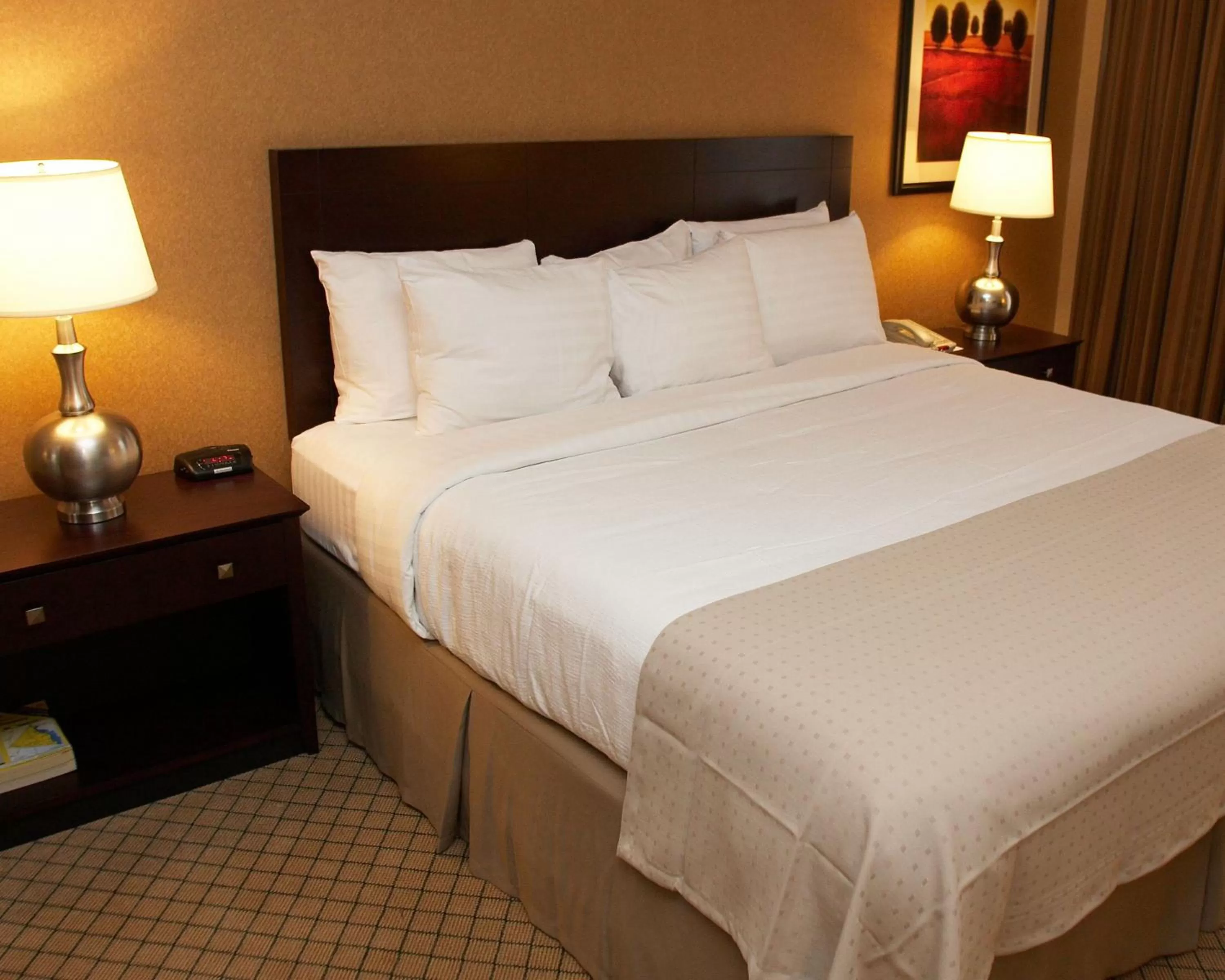 King Room - Non-Smoking in Armoni Inn & Suites
