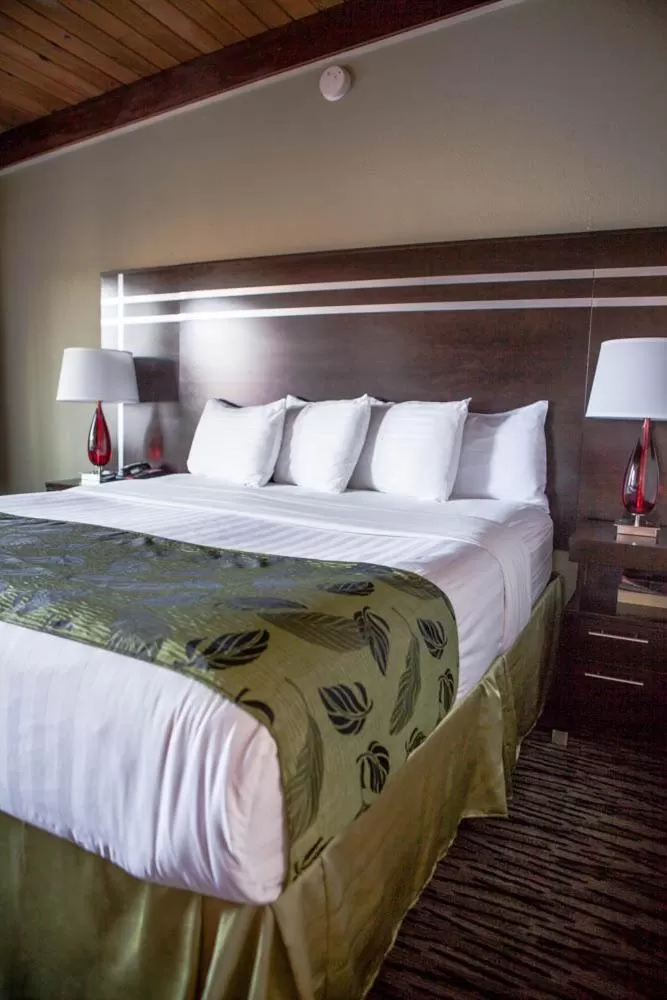 Standard Queen Room in Motel Capri