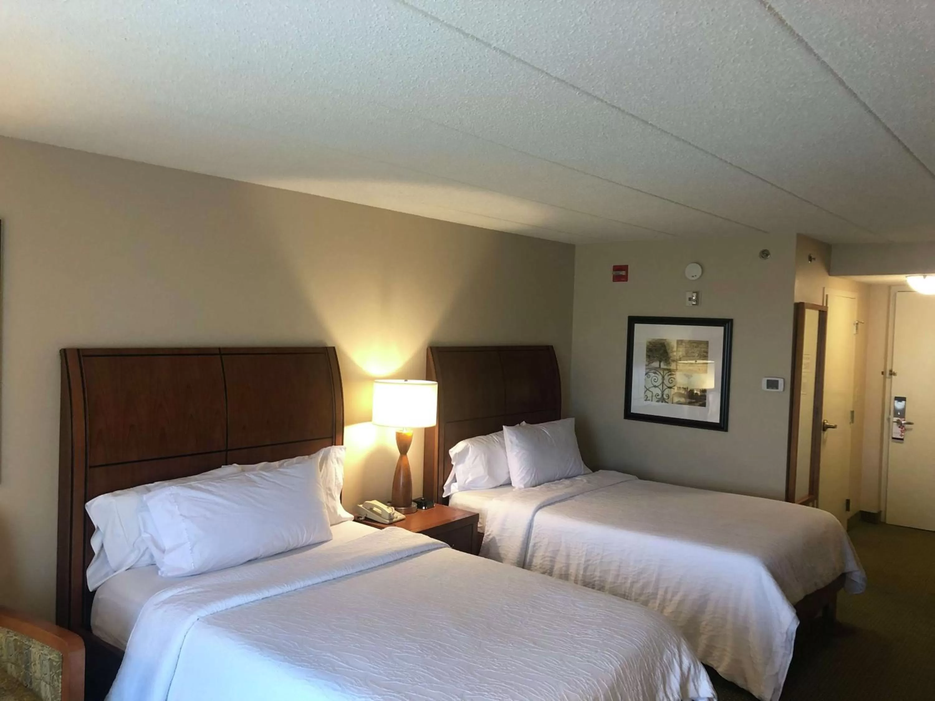 Double Room with Two Double Beds - Hearing Accessible  in Hilton Garden Inn Addison