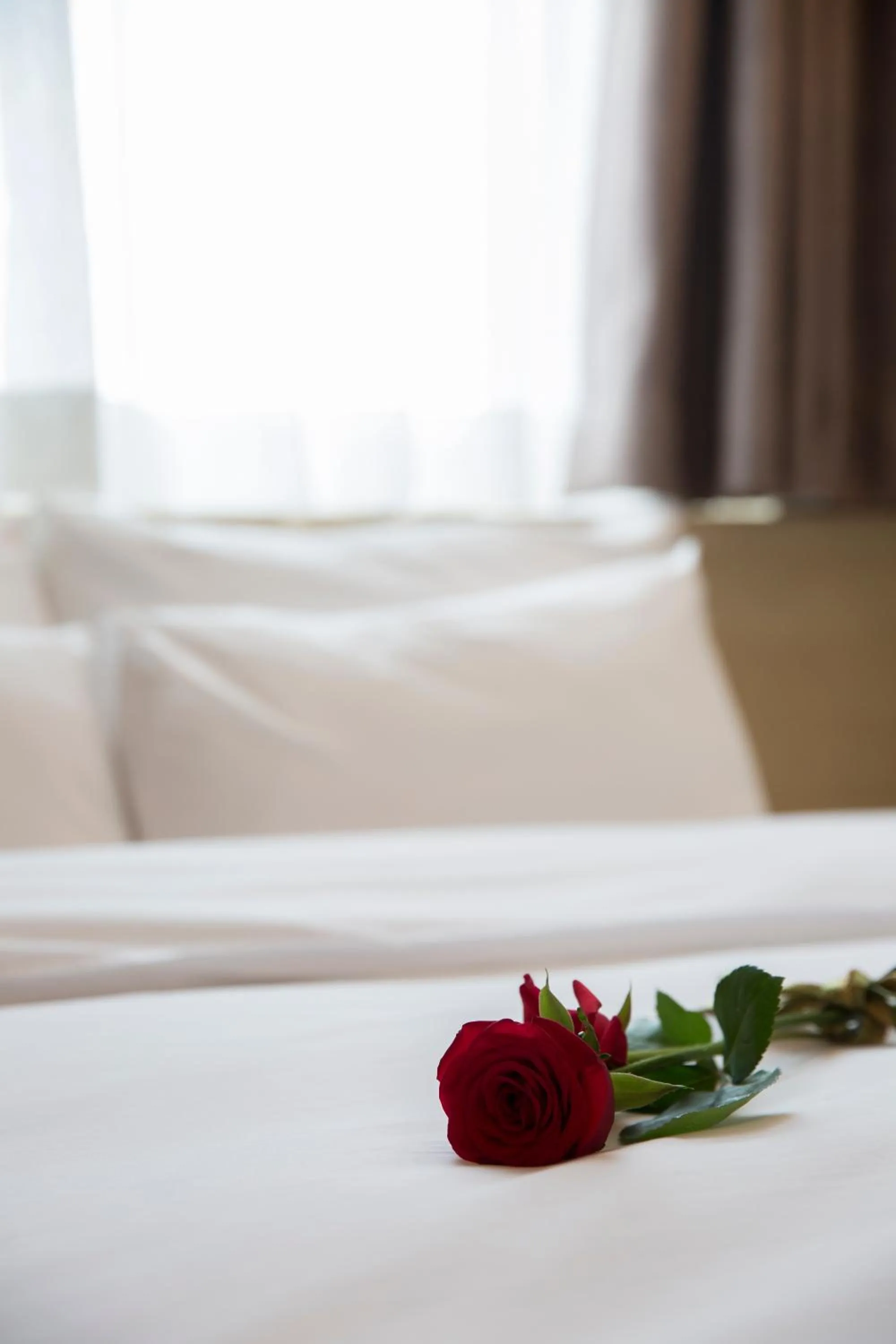 Superior Double Room in Hotel Nafore