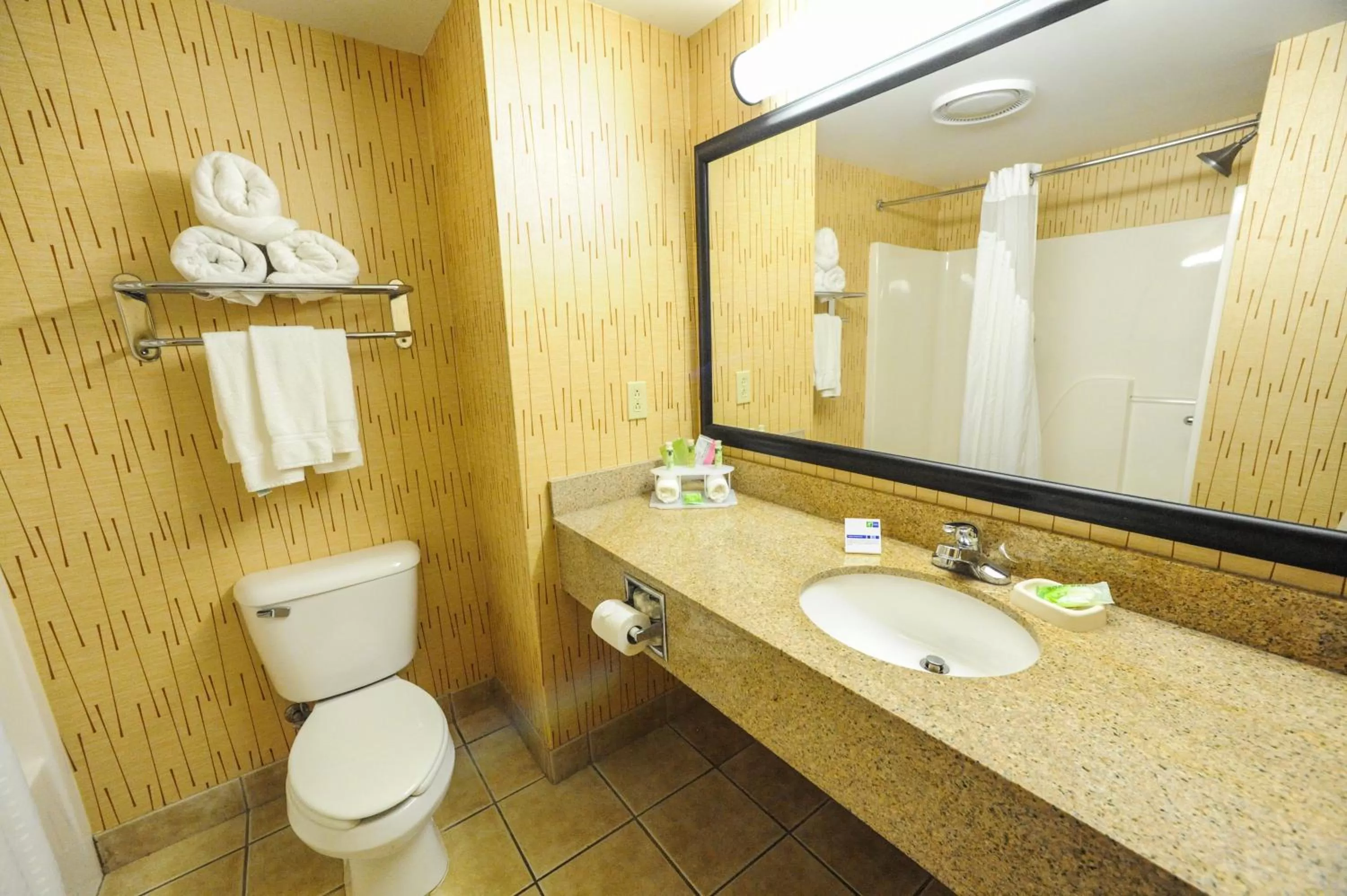 King Suite with Hearing Accessible Tub - Non-Smoking in Holiday Inn Express Hotel & Suites Bowling Green by IHG