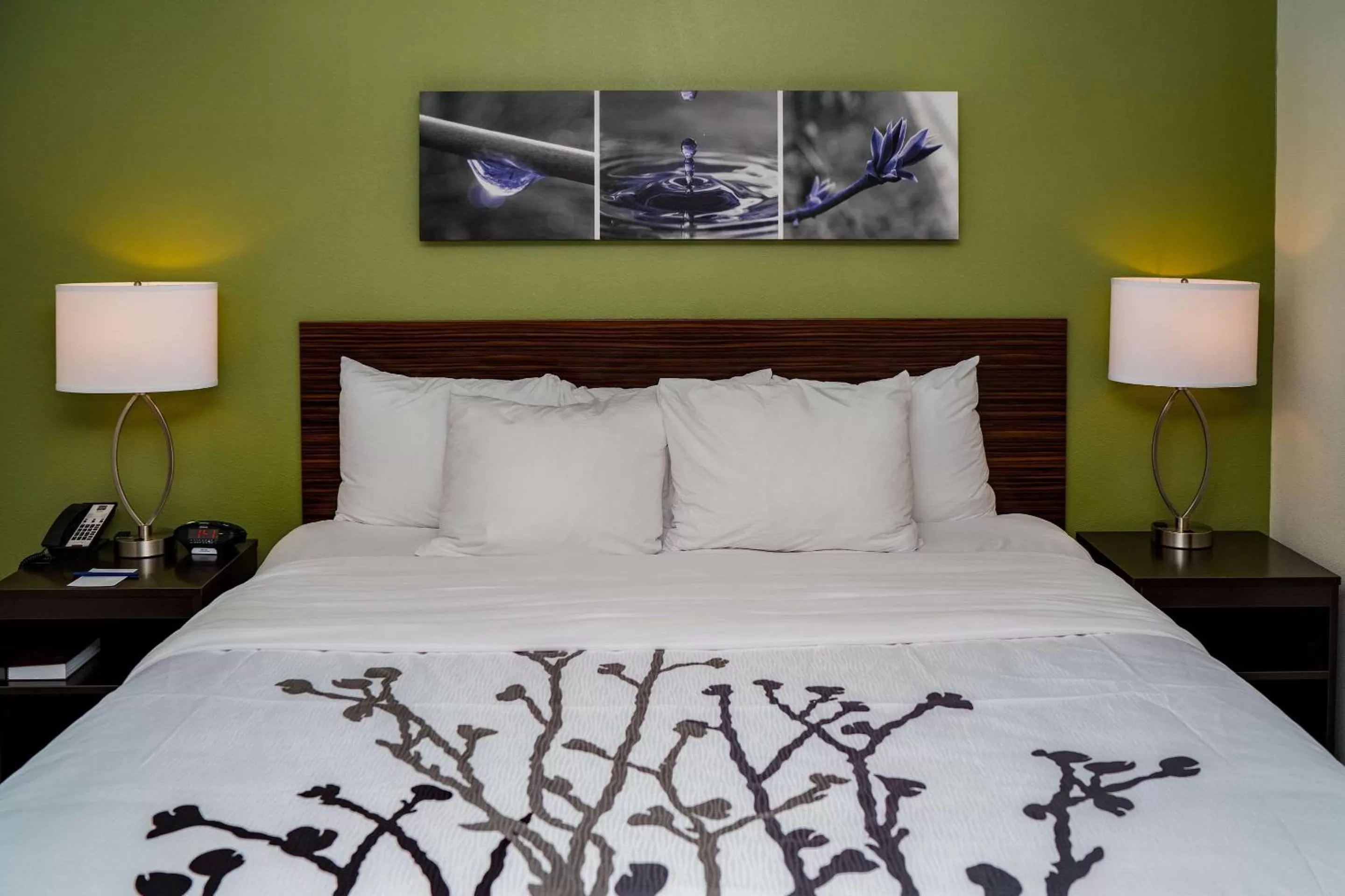 King Room - Accessible/Non-Smoking in Sleep Inn at Discovery Park of America