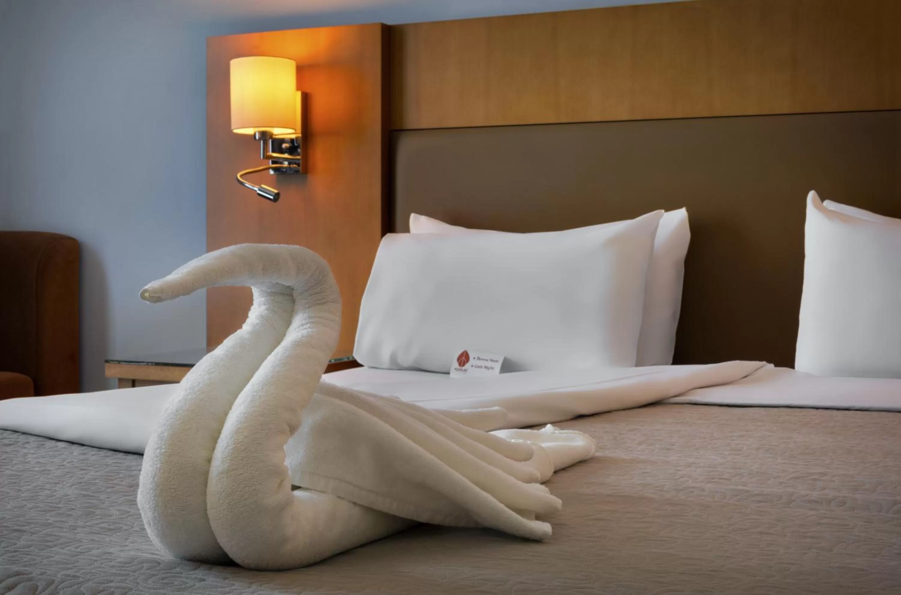 Double Room with City View in Azalaï Hôtel Cotonou