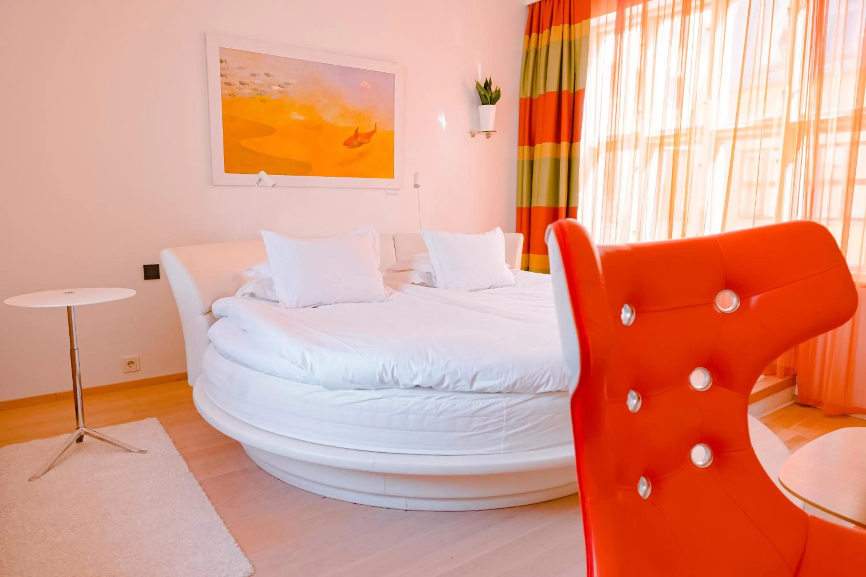 Superior King Room in Avalon Hotel