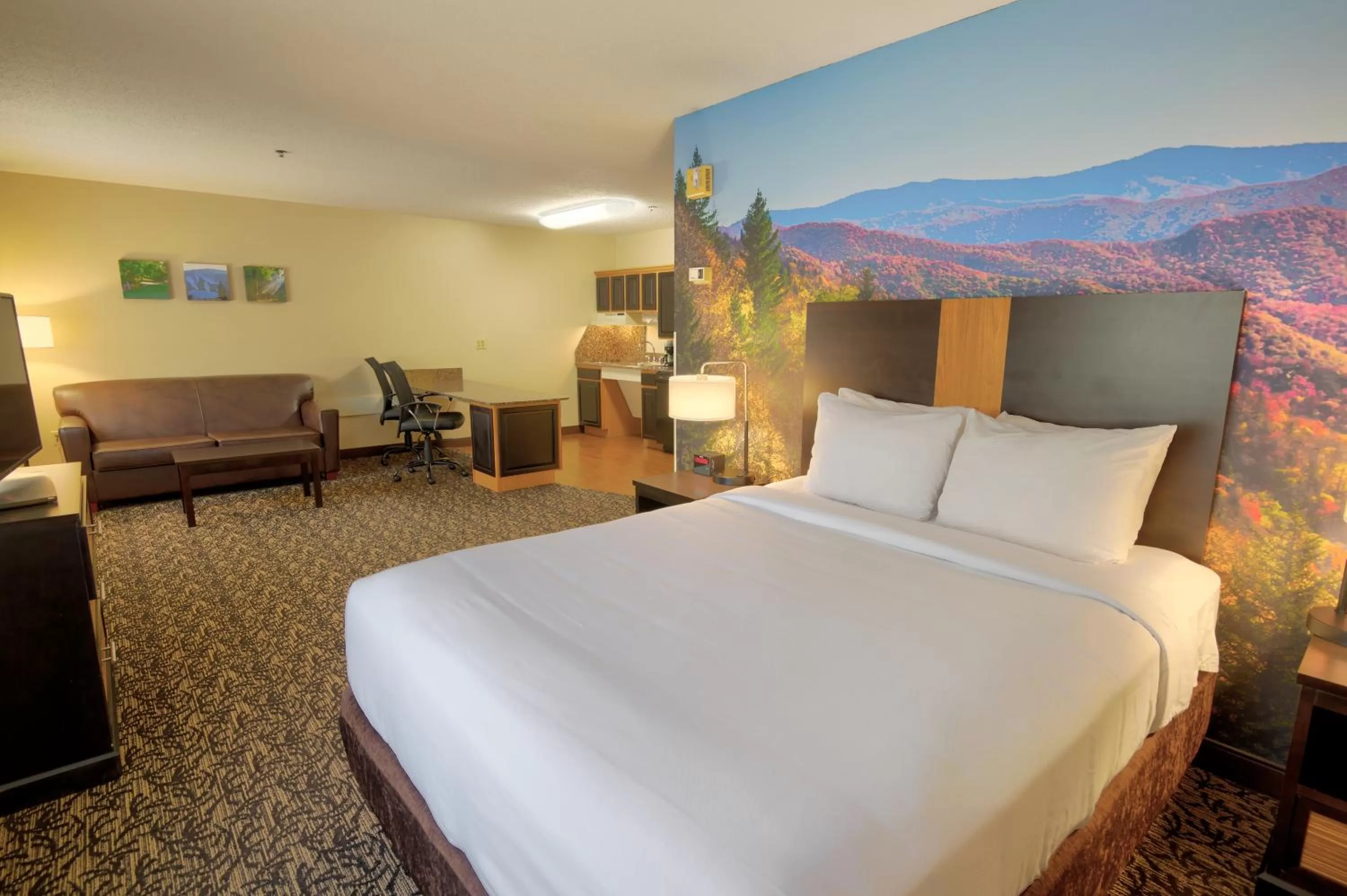 Queen Suite - Accessible/Non-Smoking in LeConte Hotel & Convention Center, an Ascend Collection Hotel