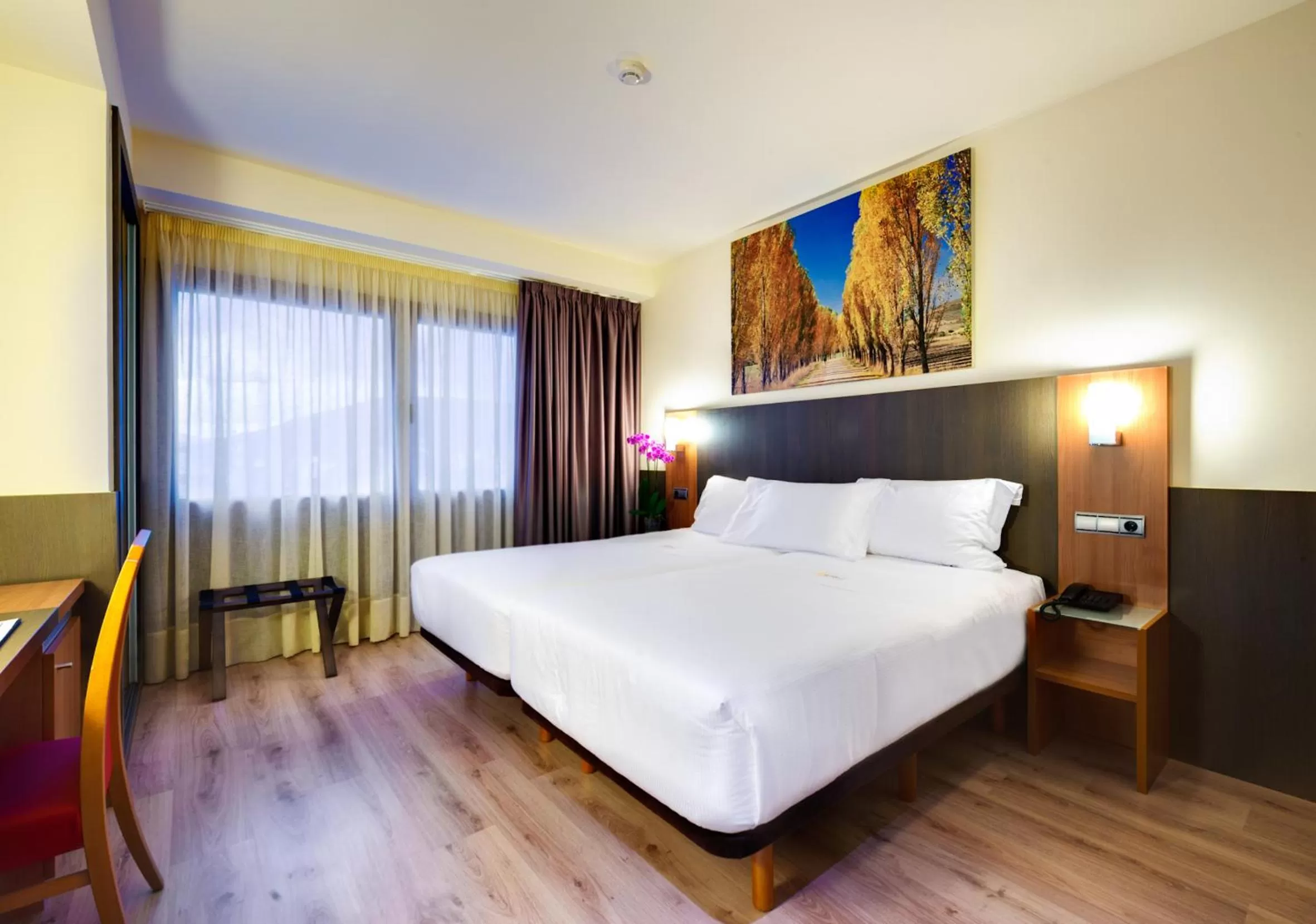 Double or Twin Room in Maisonnave