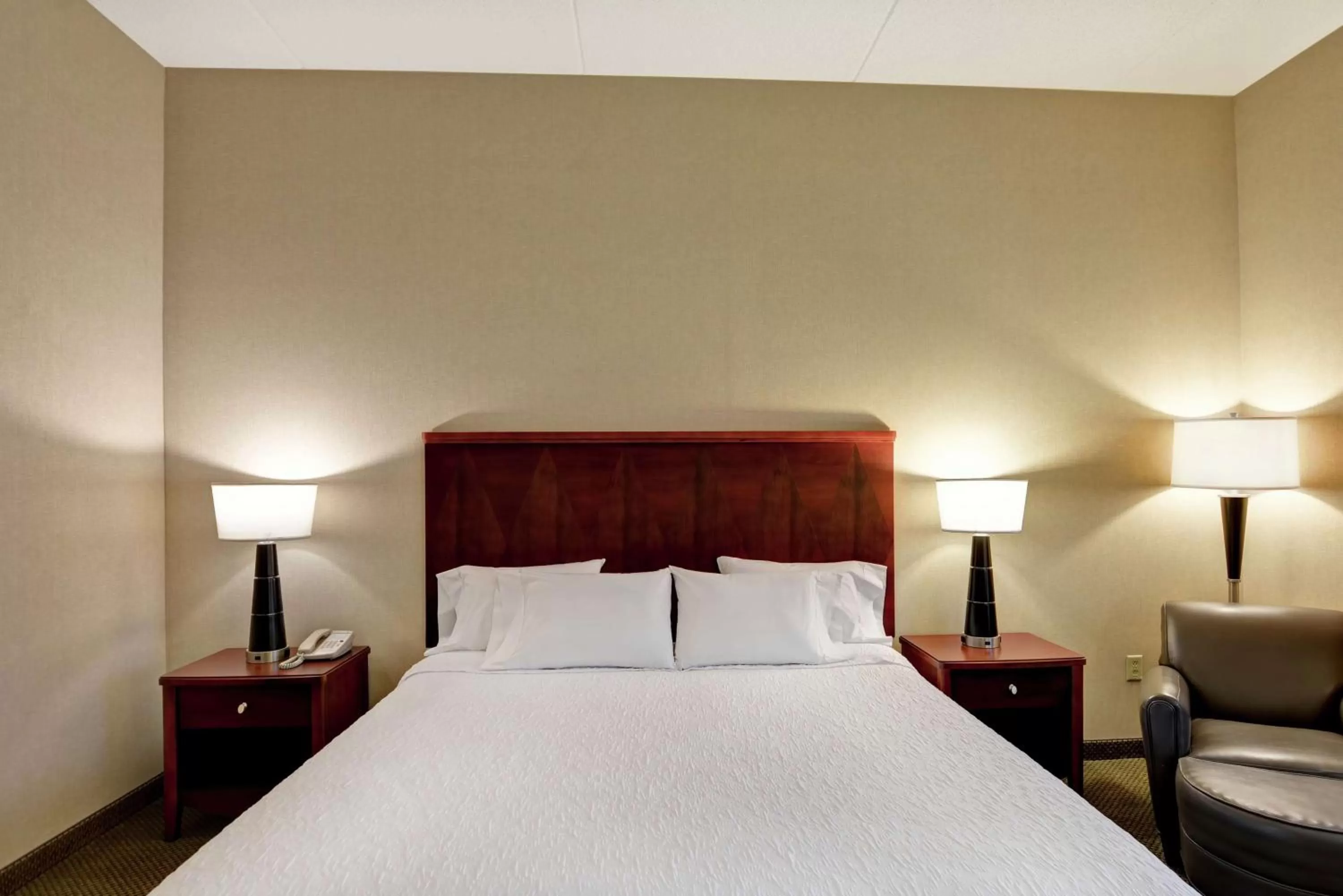 King Room - Mobility Access/Non-Smoking in Hampton Inn Sayre