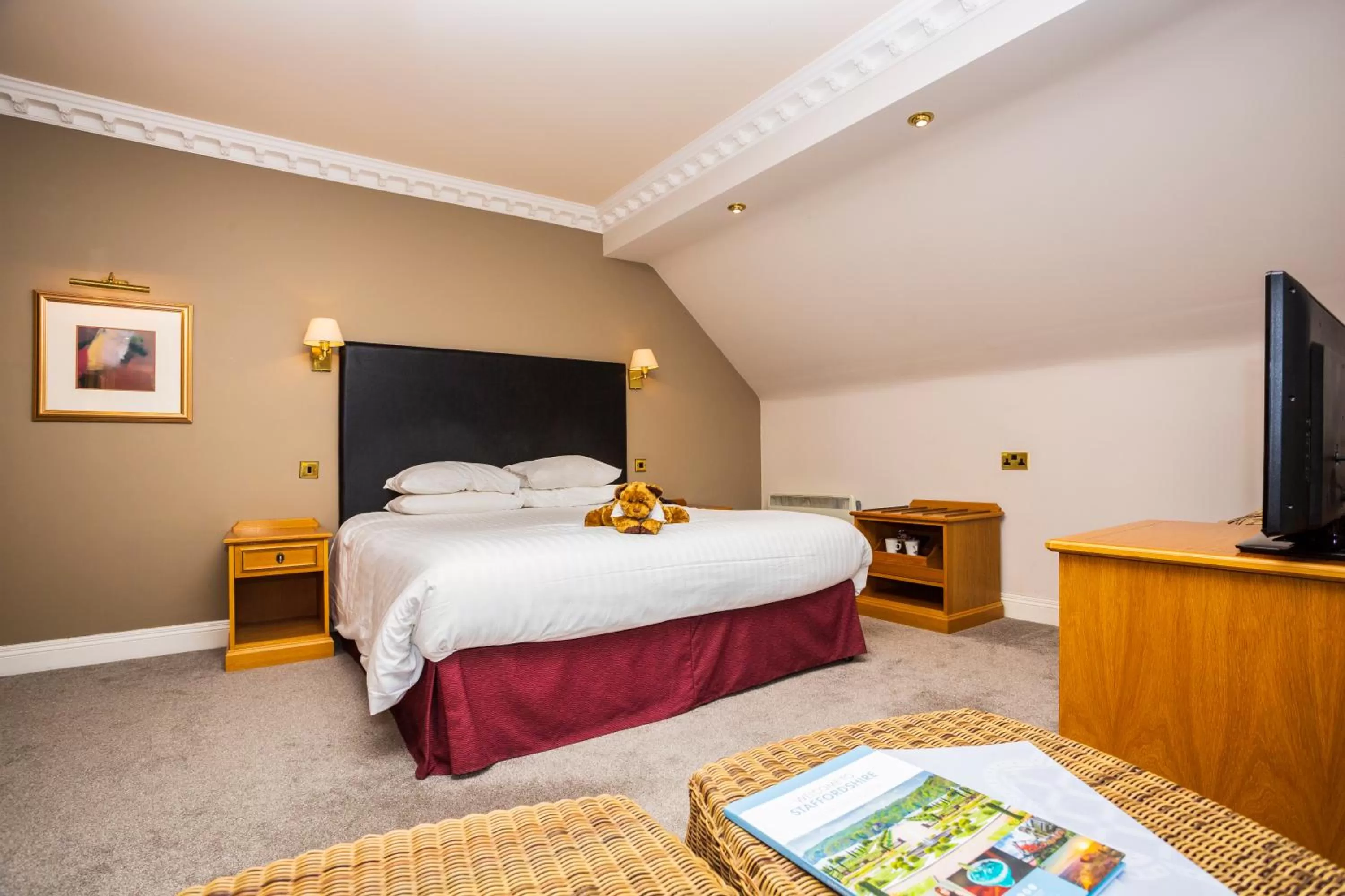 Standard Double Room - single occupancy in The Moat House