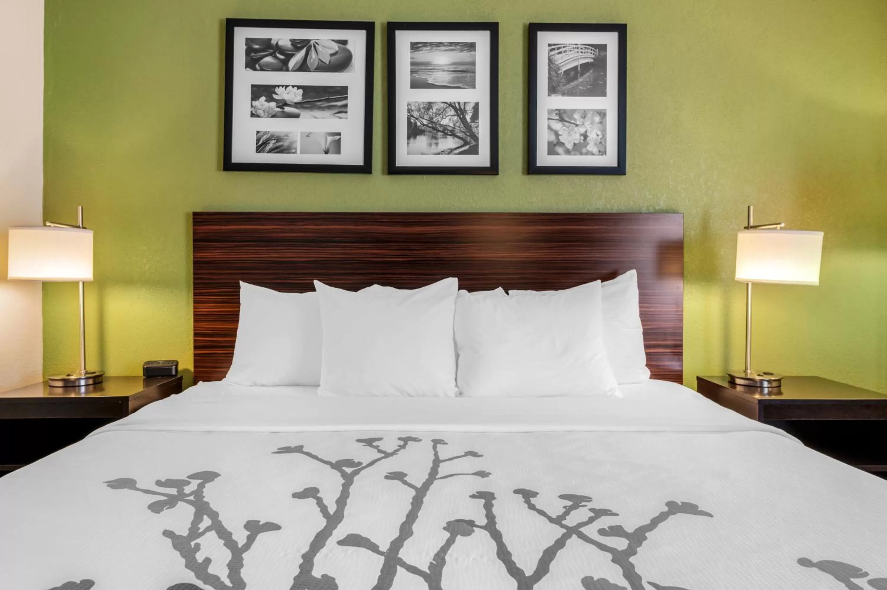 Deluxe Queen Room in Sleep Inn Naperville - Chicago