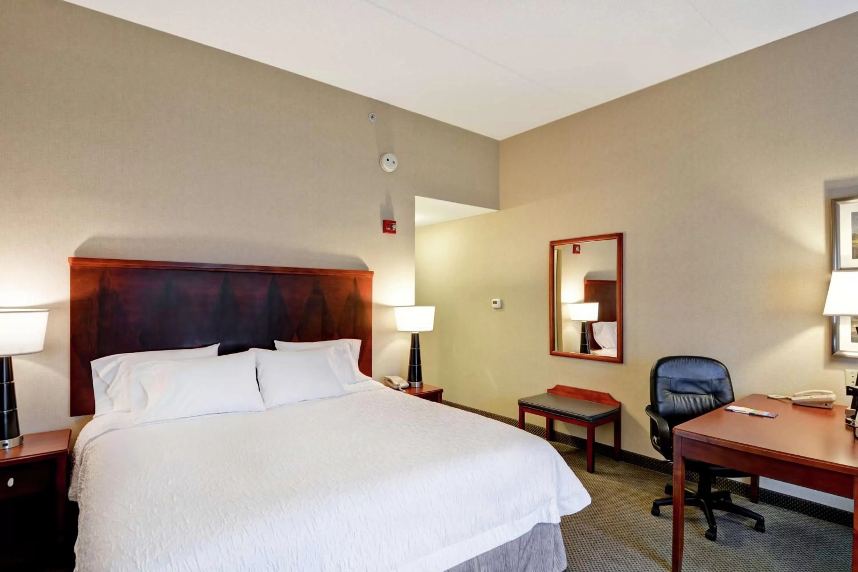 Bedroom, Bed in Hampton Inn Sayre