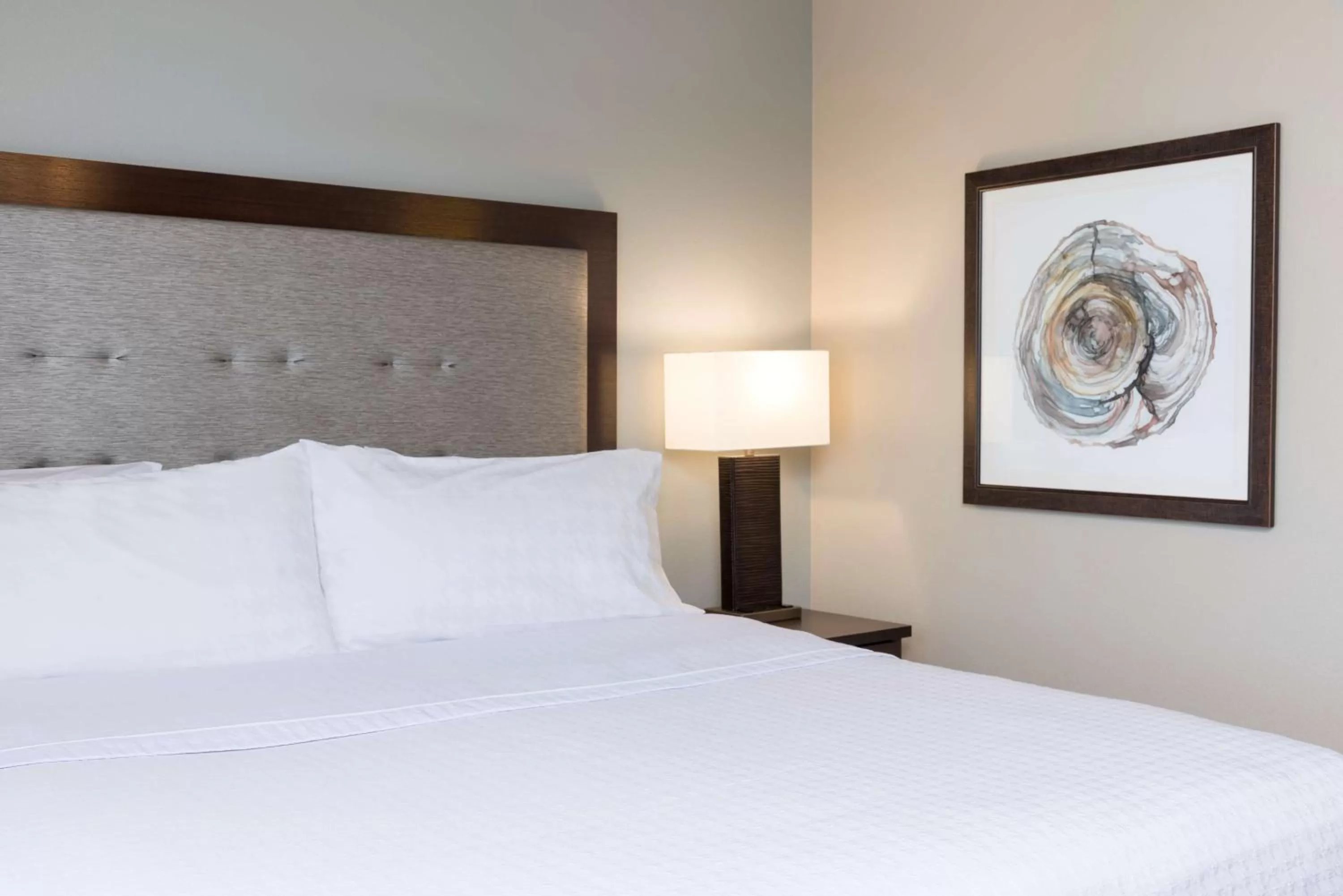 Two Bedroom King Suite in Homewood Suites by Hilton Indianapolis Northwest