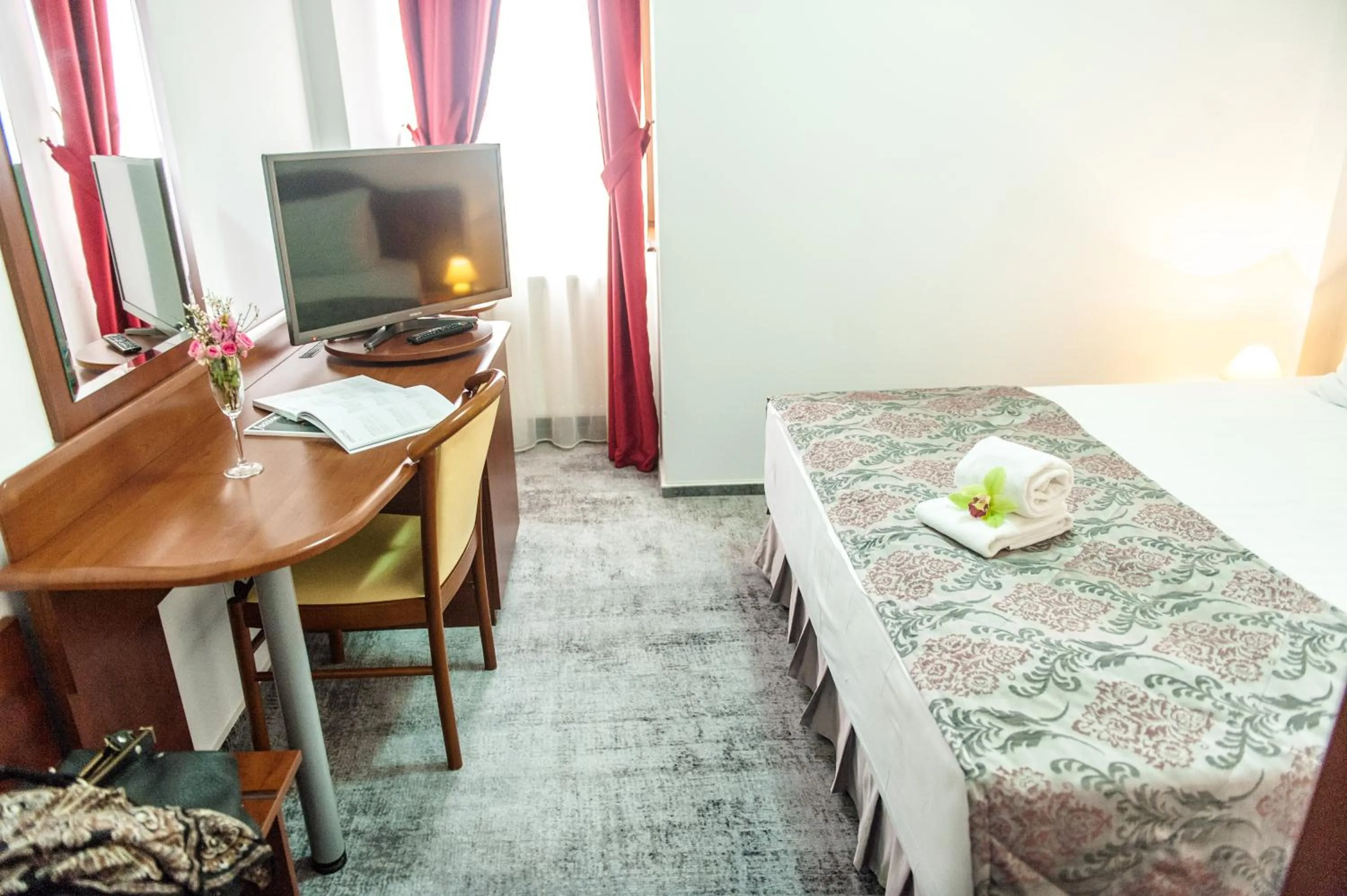 Economy Single Room in Hotel Parc Sibiu