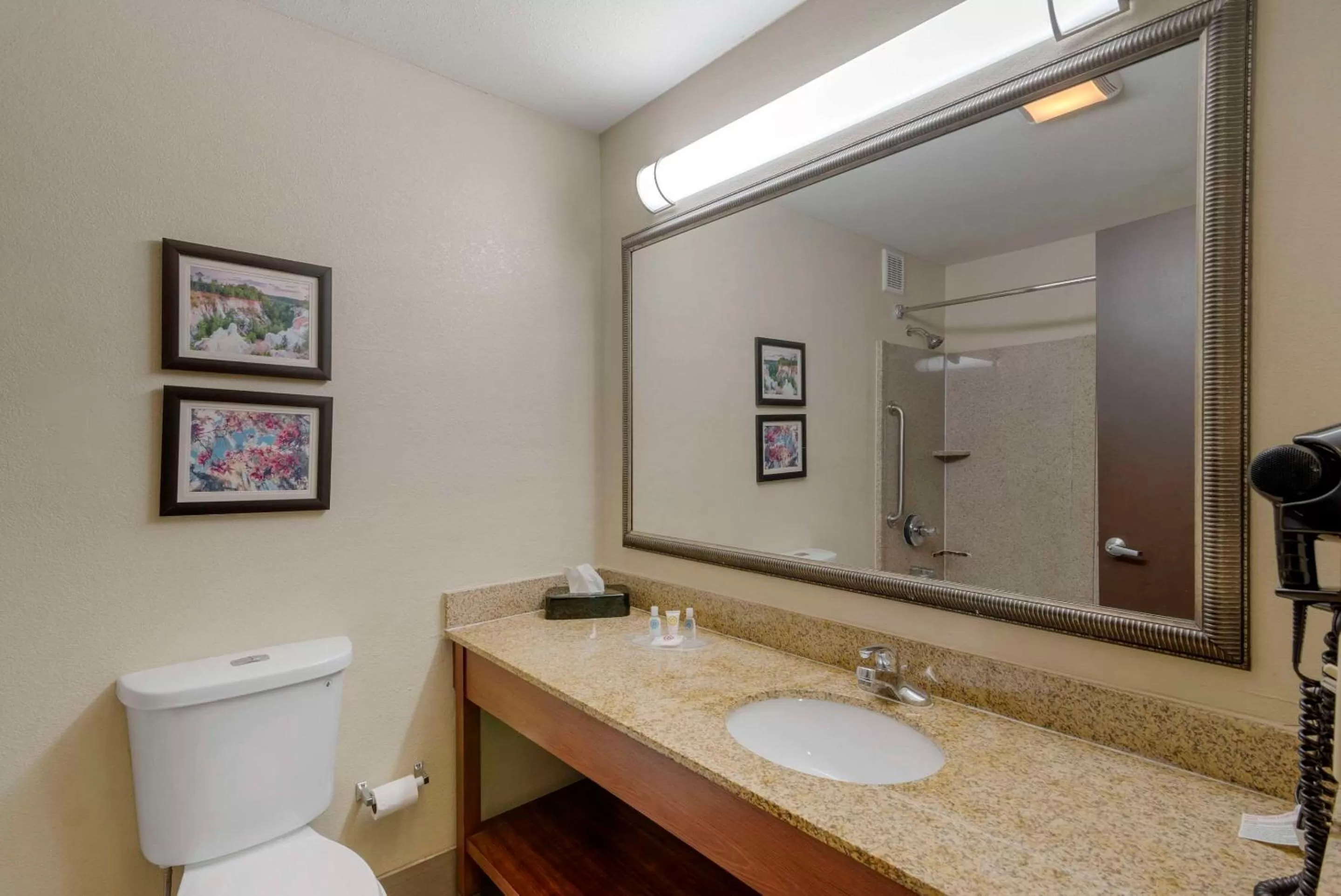 King Suite - Non-Smoking in Comfort Suites Columbus State University Area