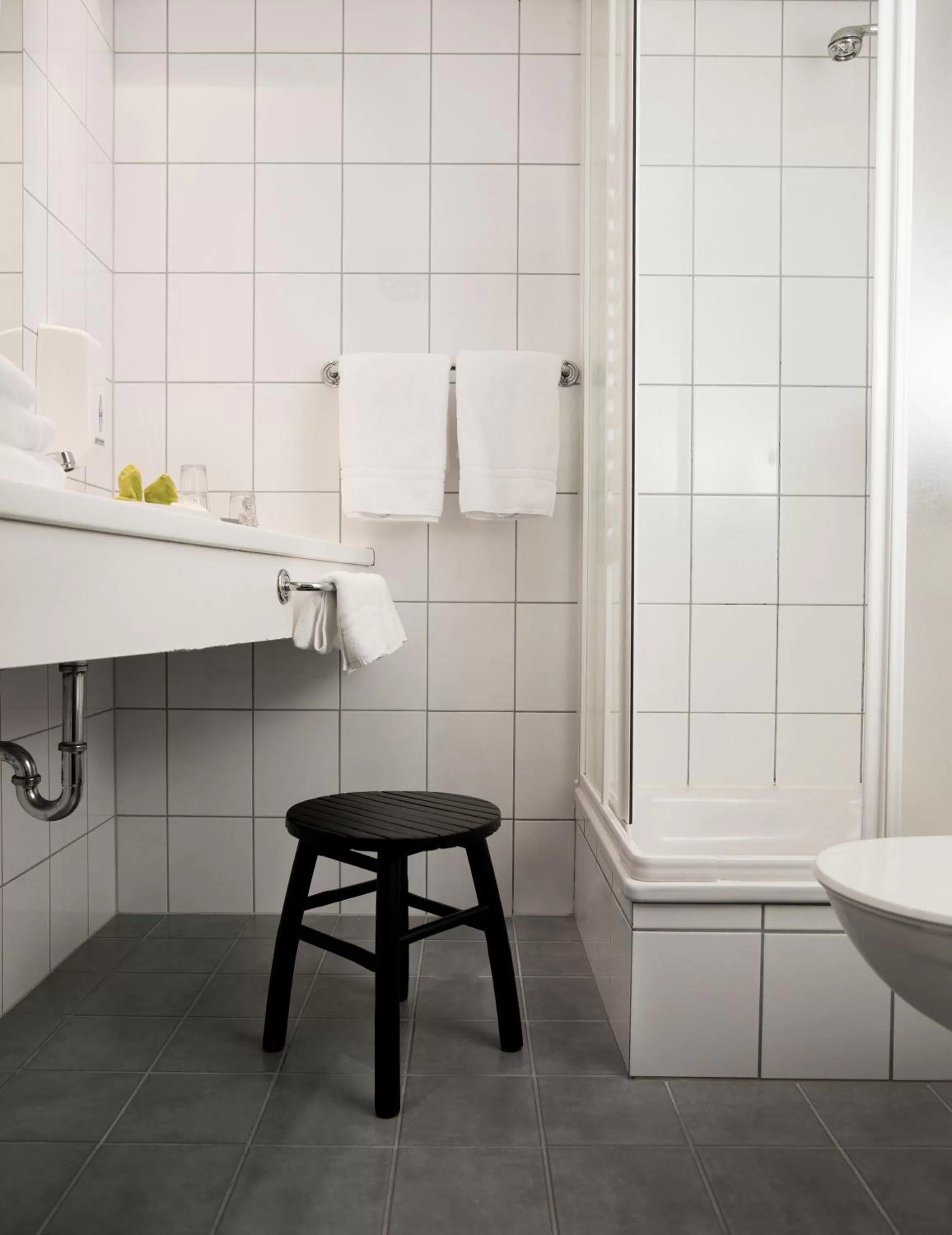 Double or Twin Room in Alva Hotel Brautarholt