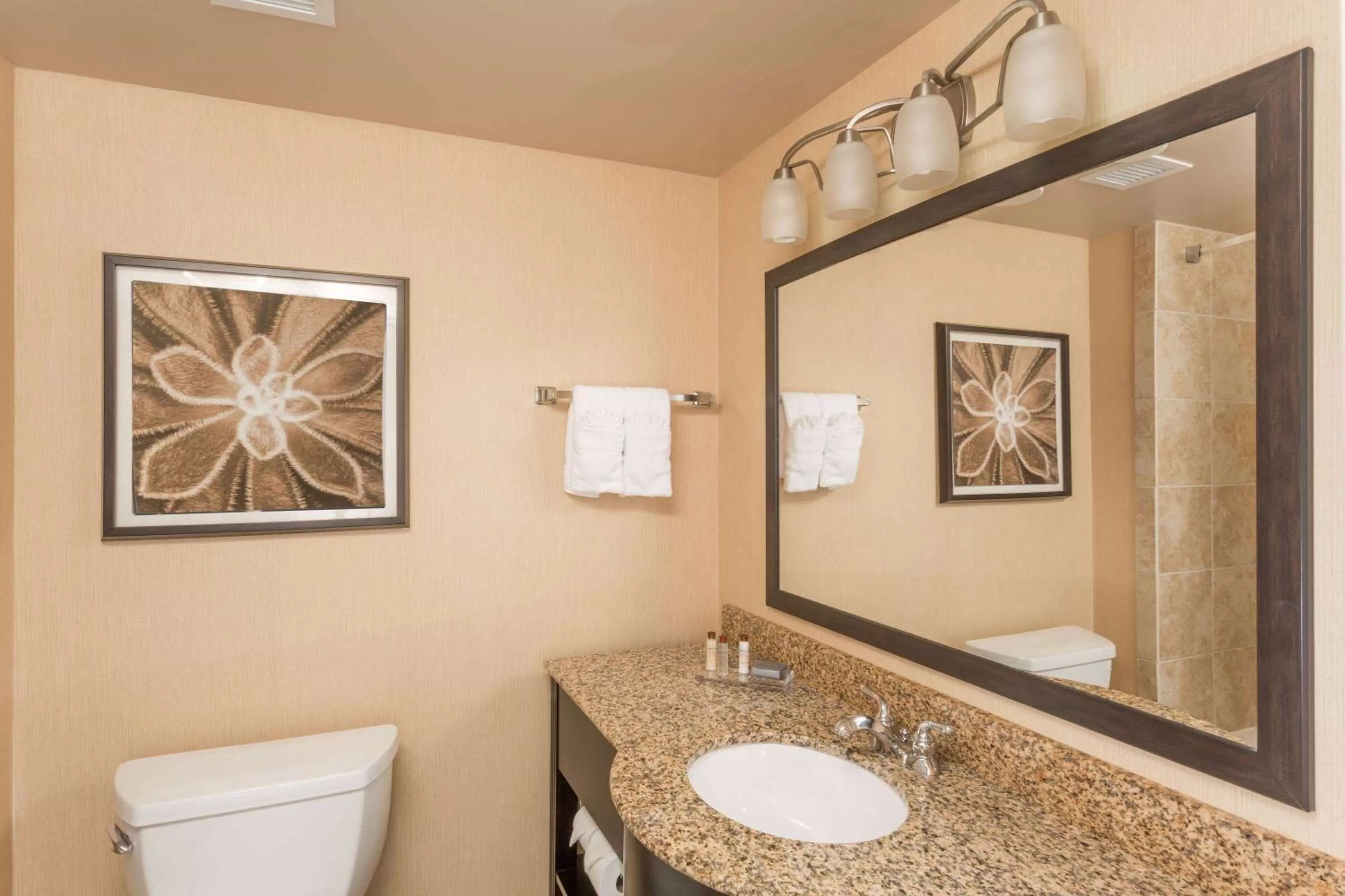 Deluxe King Room - Non-Smoking in Wingate by Wyndham Houma