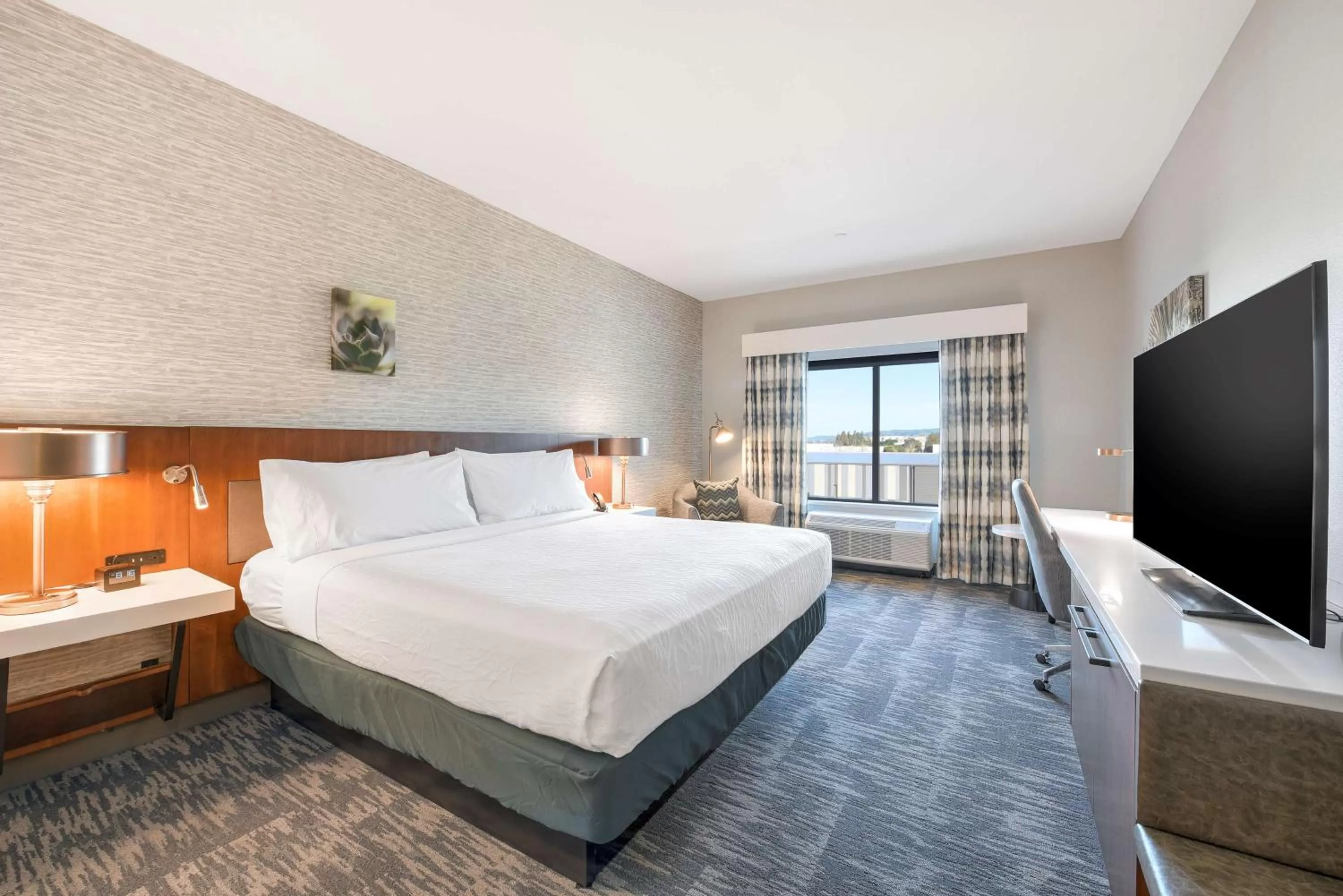 King Room with Mountain View in Hilton Garden Inn Fremont Milpitas