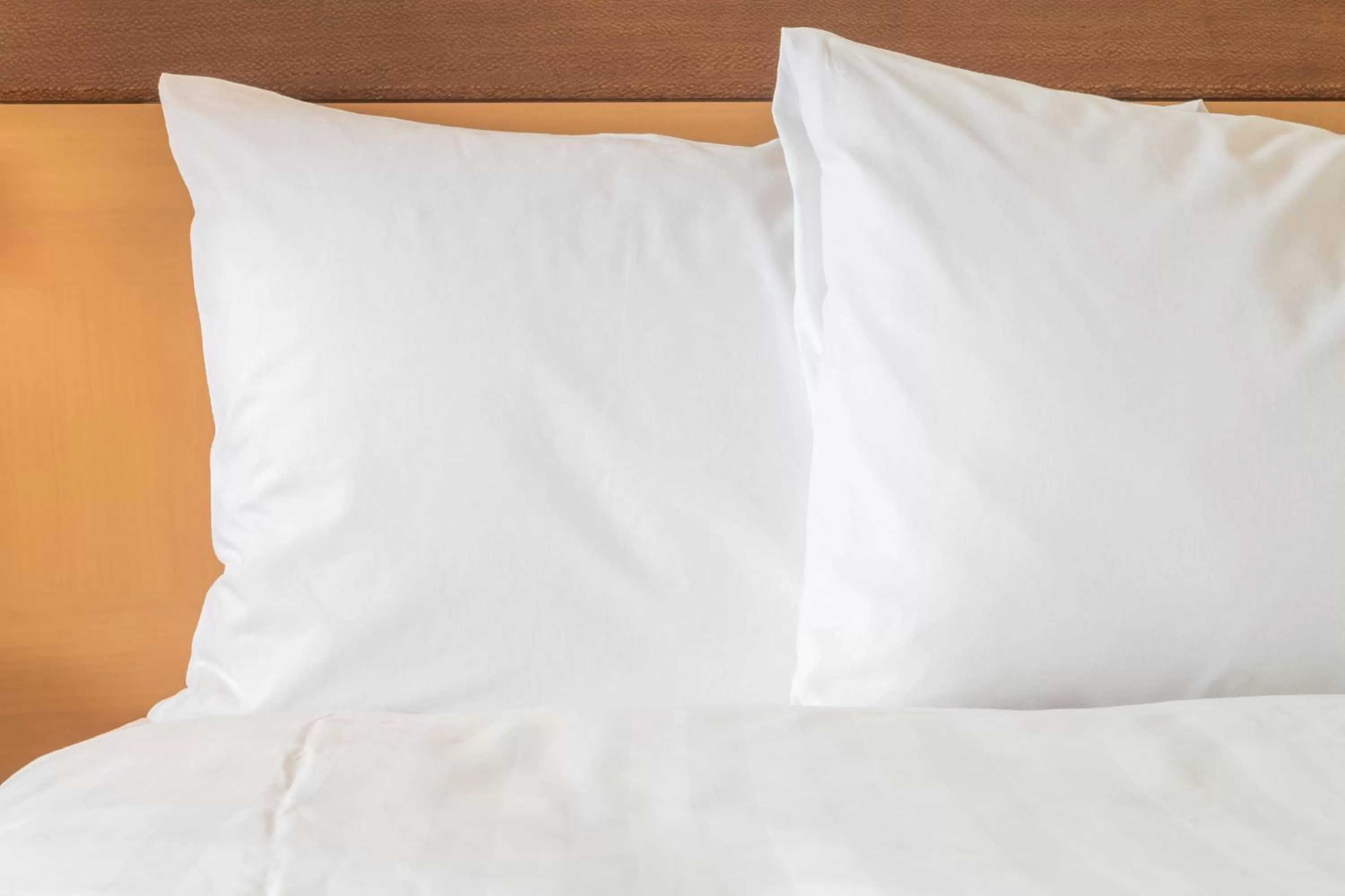 Standard Room in Holiday Inn Lubbock South by IHG