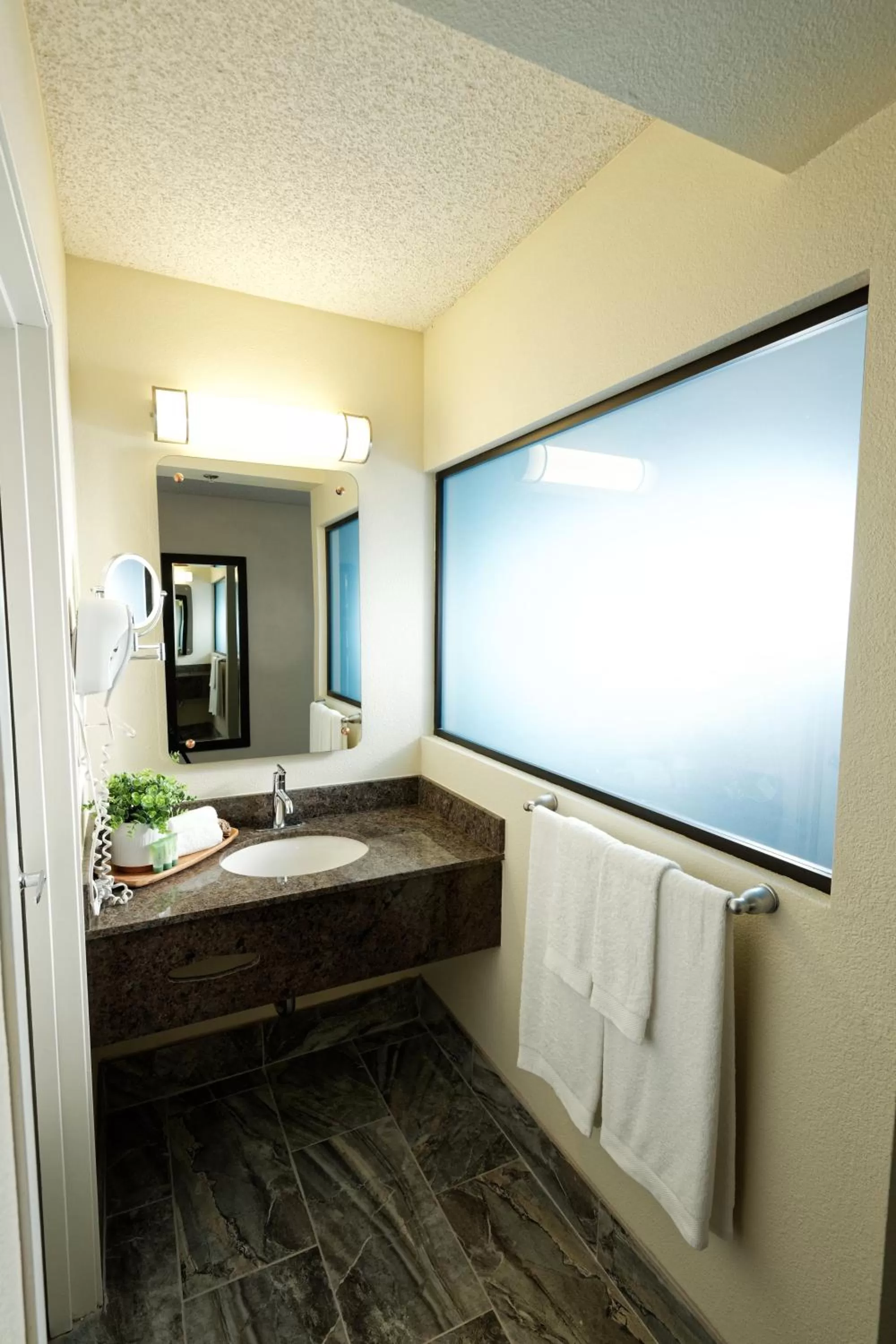 Deluxe King  - single occupancy in Silver Sevens Hotel & Casino