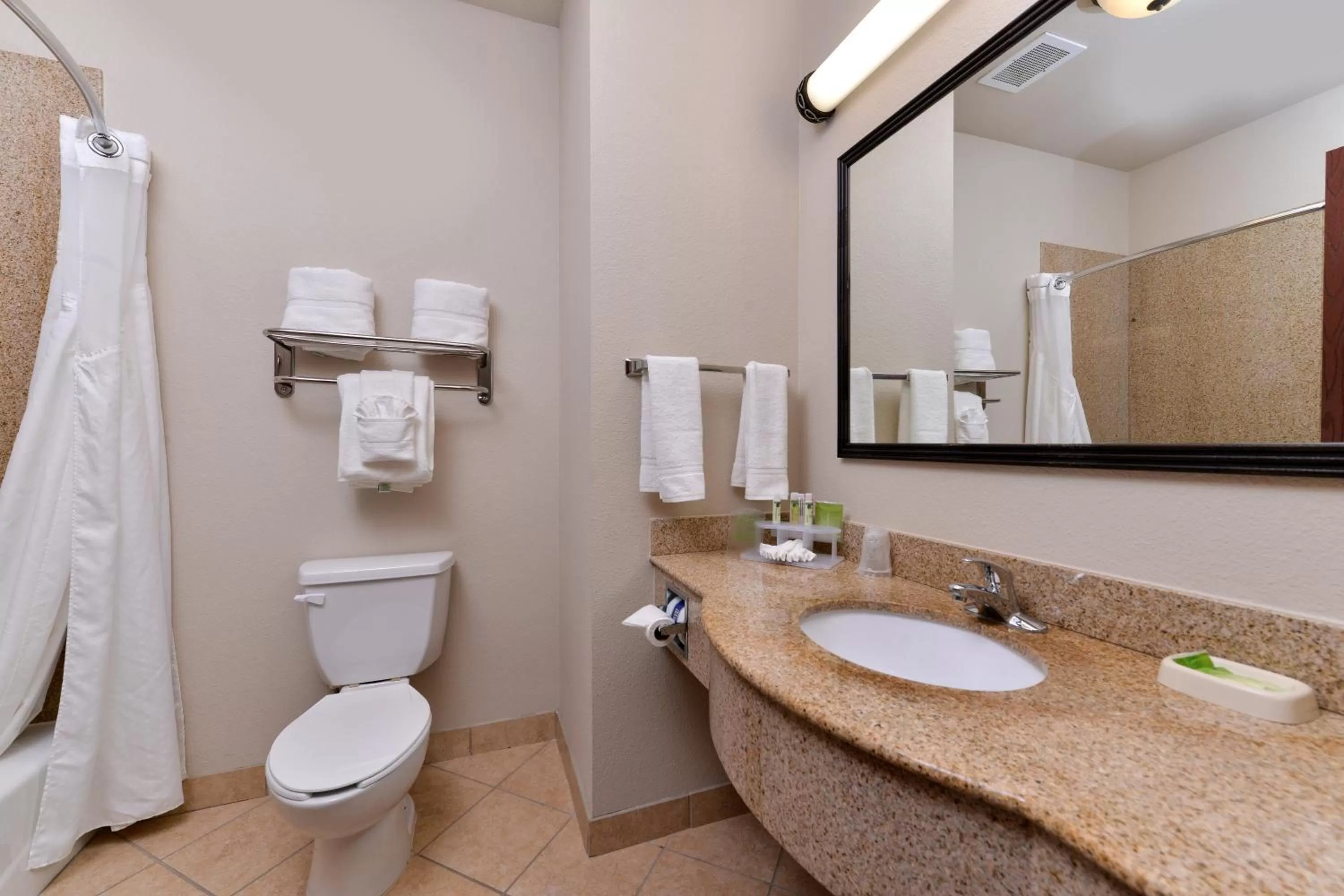 Standard King Room in Holiday Inn Express Hotel & Suites Sherman Highway 75 by IHG