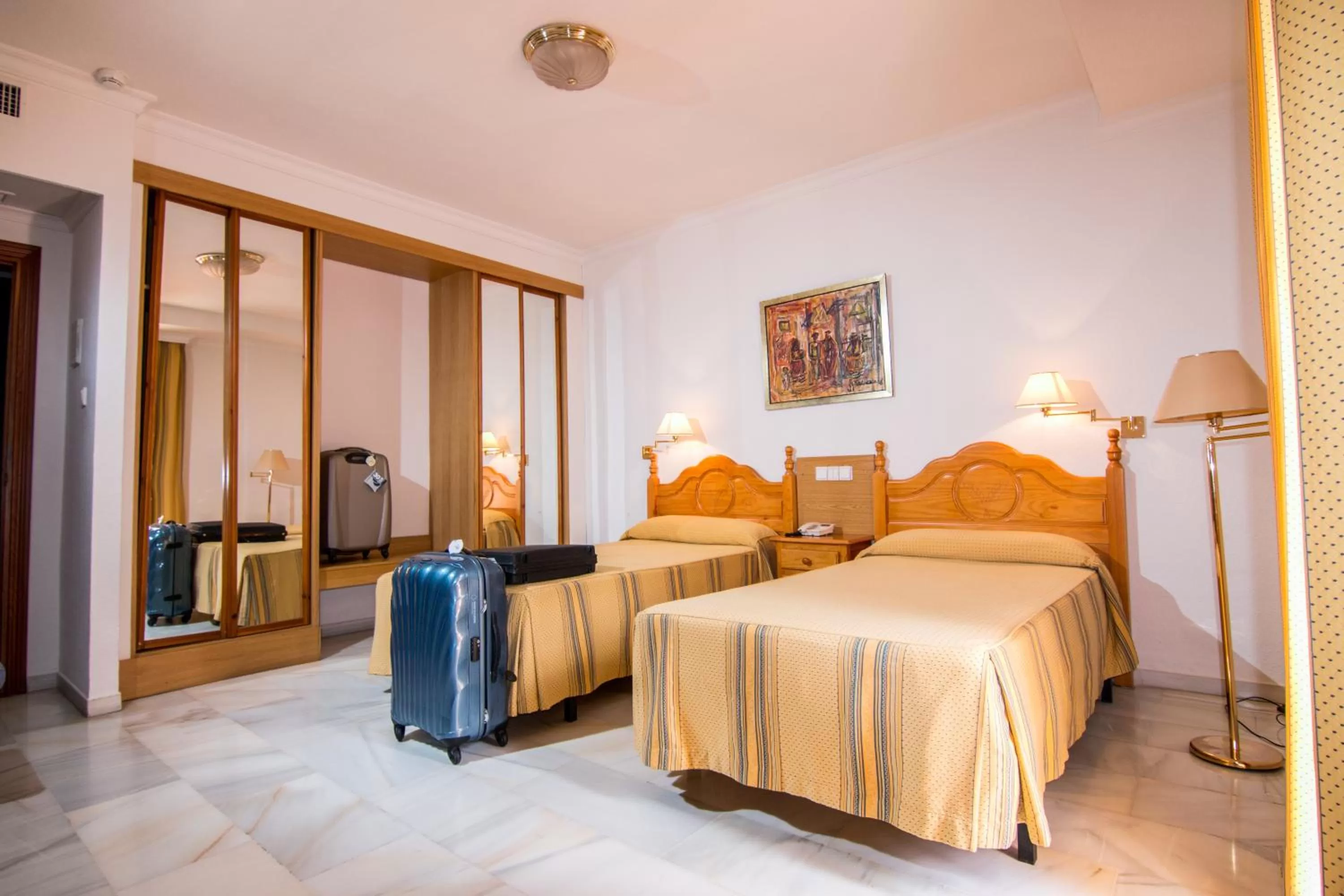 Double or Twin Room in Hotel Abades Loja