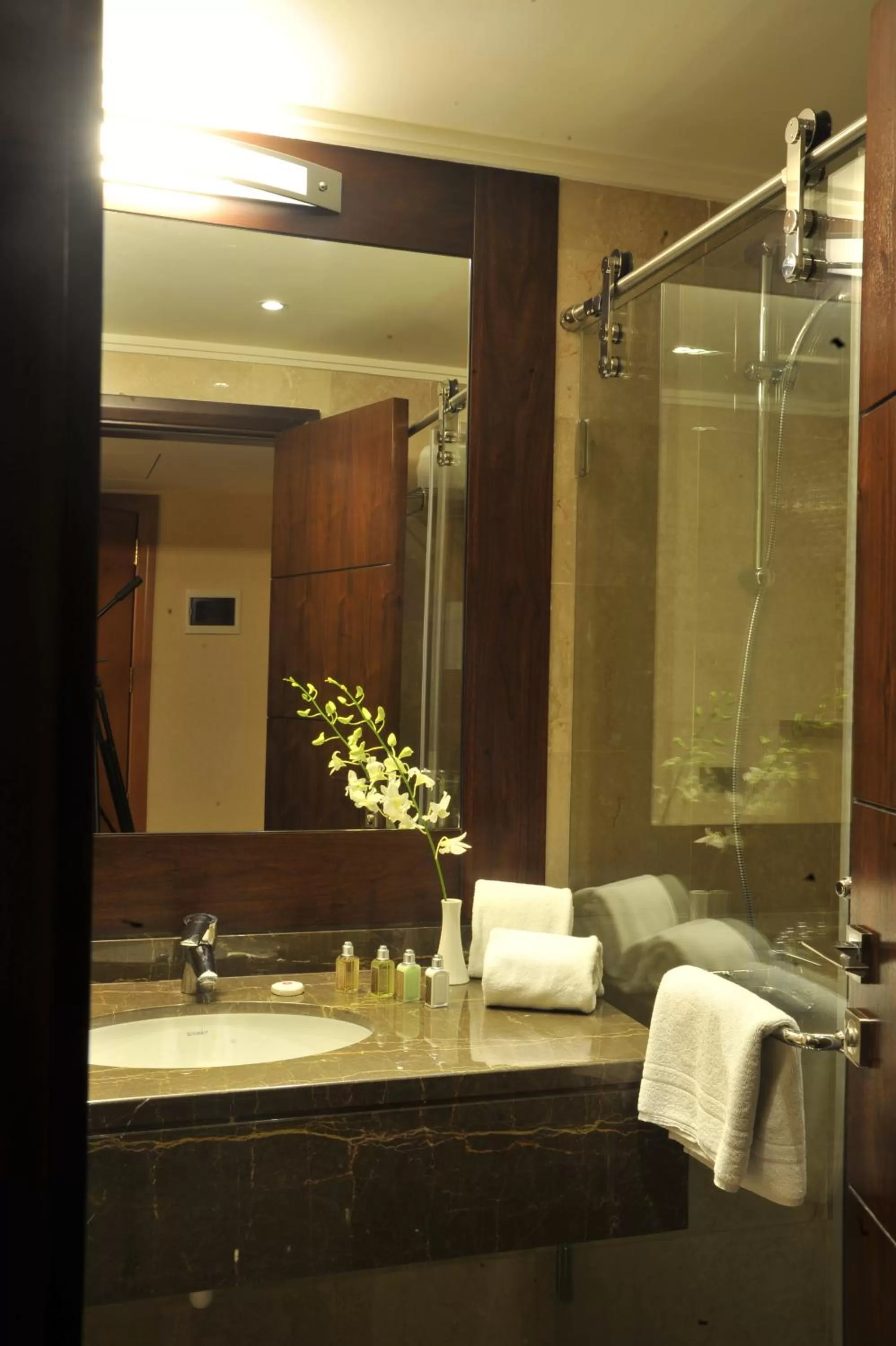 Standard Twin Room with City View in Lancaster Raouche Hotel