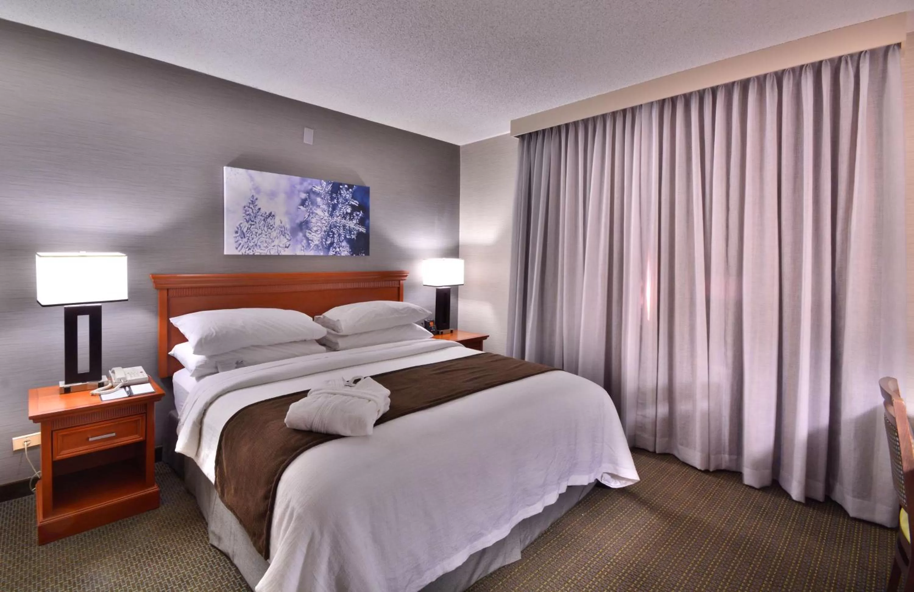 King Suite with Roll In Shower - Disability Access/Non-Smoking in Embassy Suites by Hilton Denver Central Park