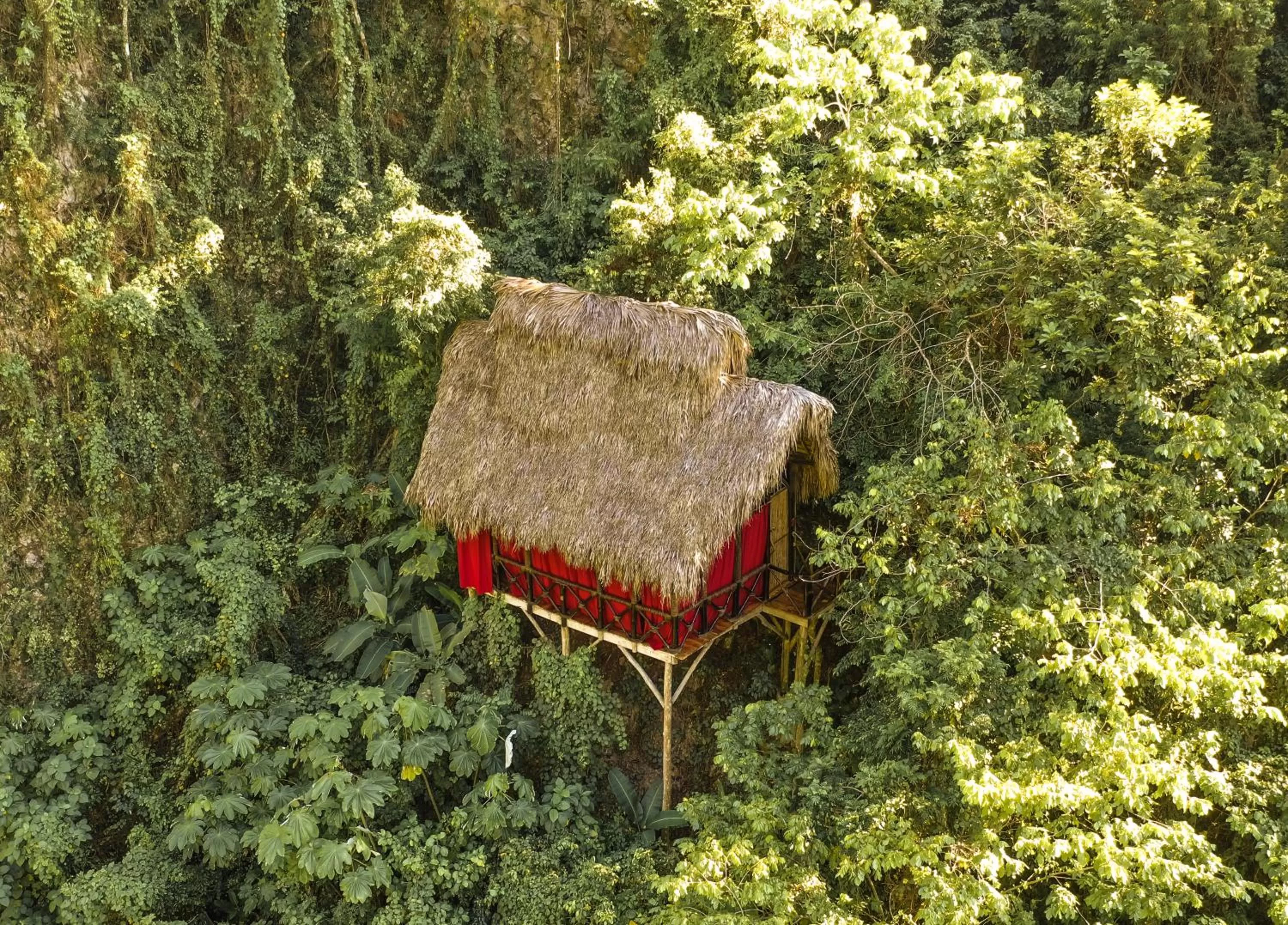 King Room in Dominican Tree House Village