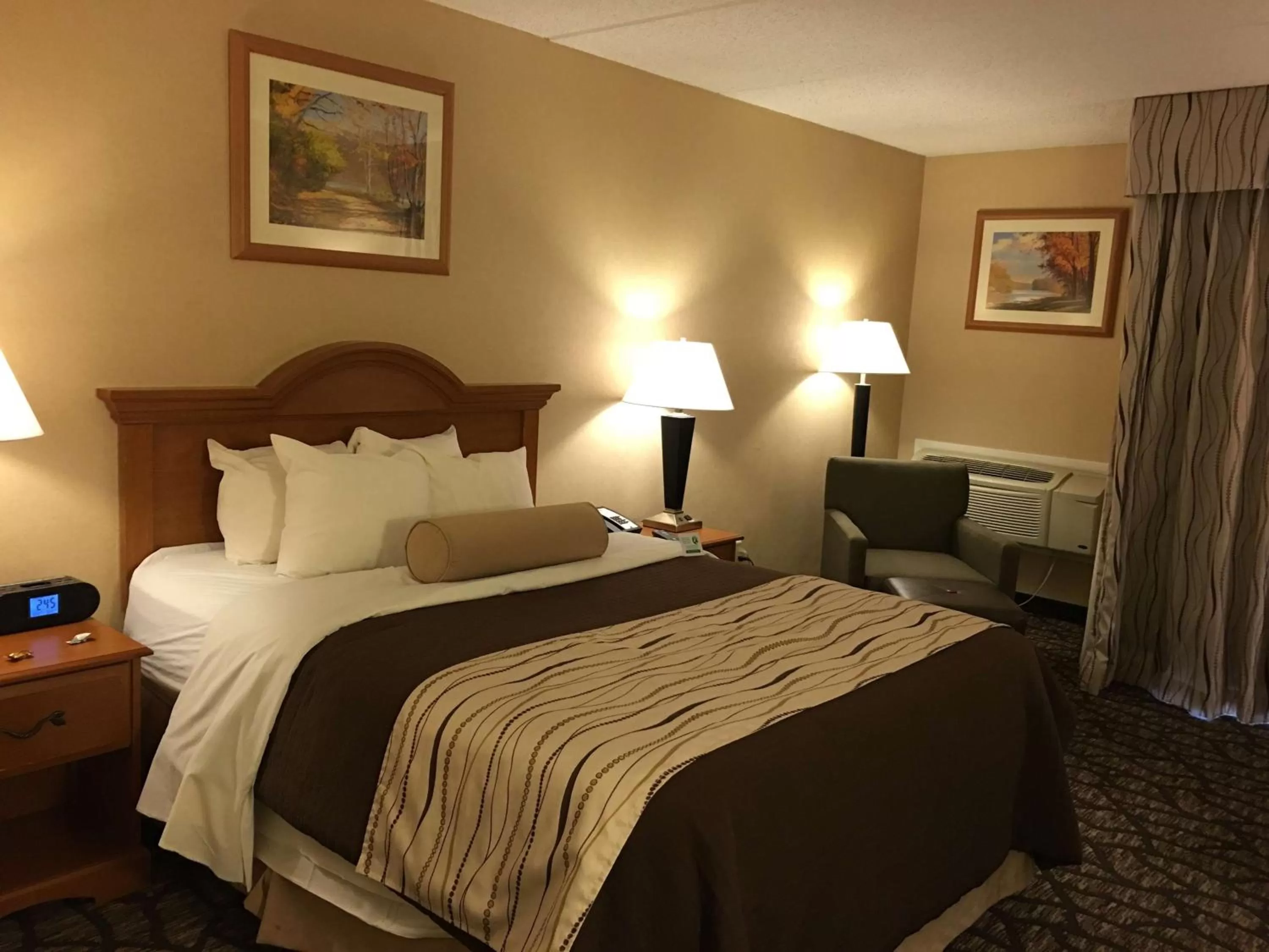 Queen Room - Disability Access/Non-Smoking in Best Western Clifton Park