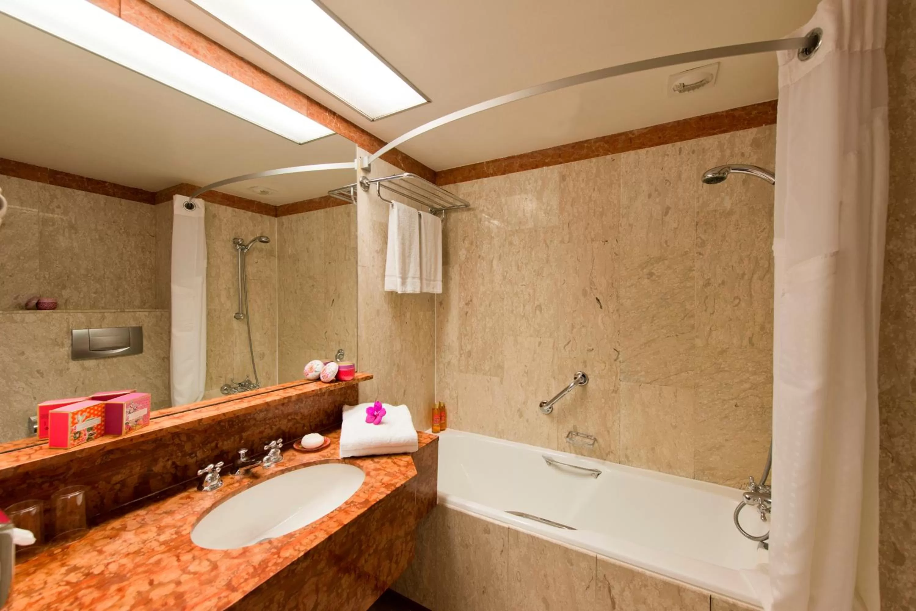 Premium Room in Holiday Inn Nice by IHG