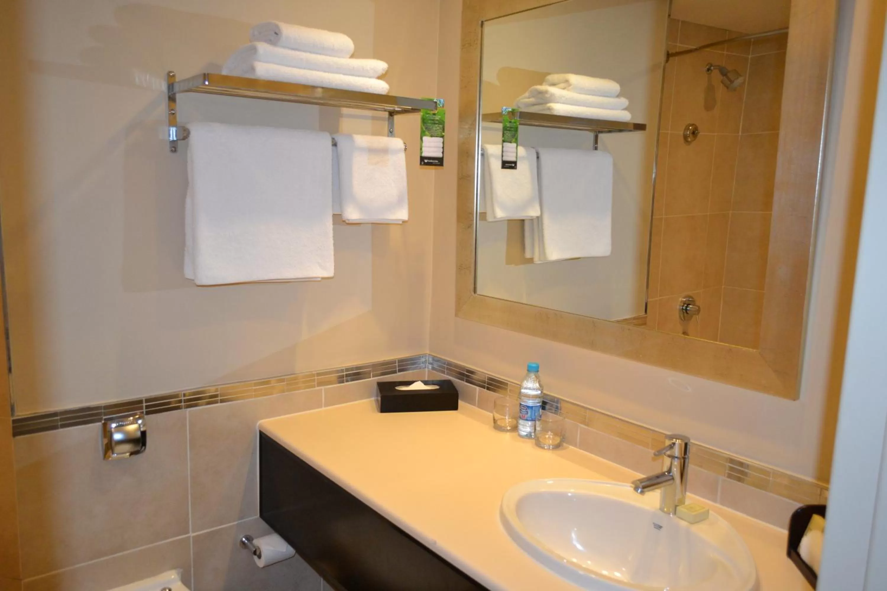 Executive King Smoking in Southern Sun Pretoria