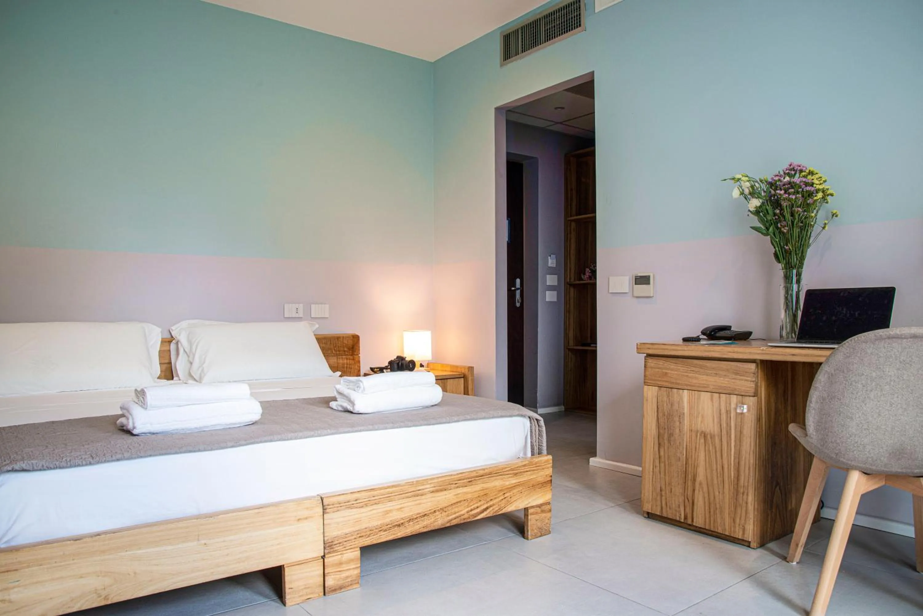 Standard Double Room in Plana Resort & SPA